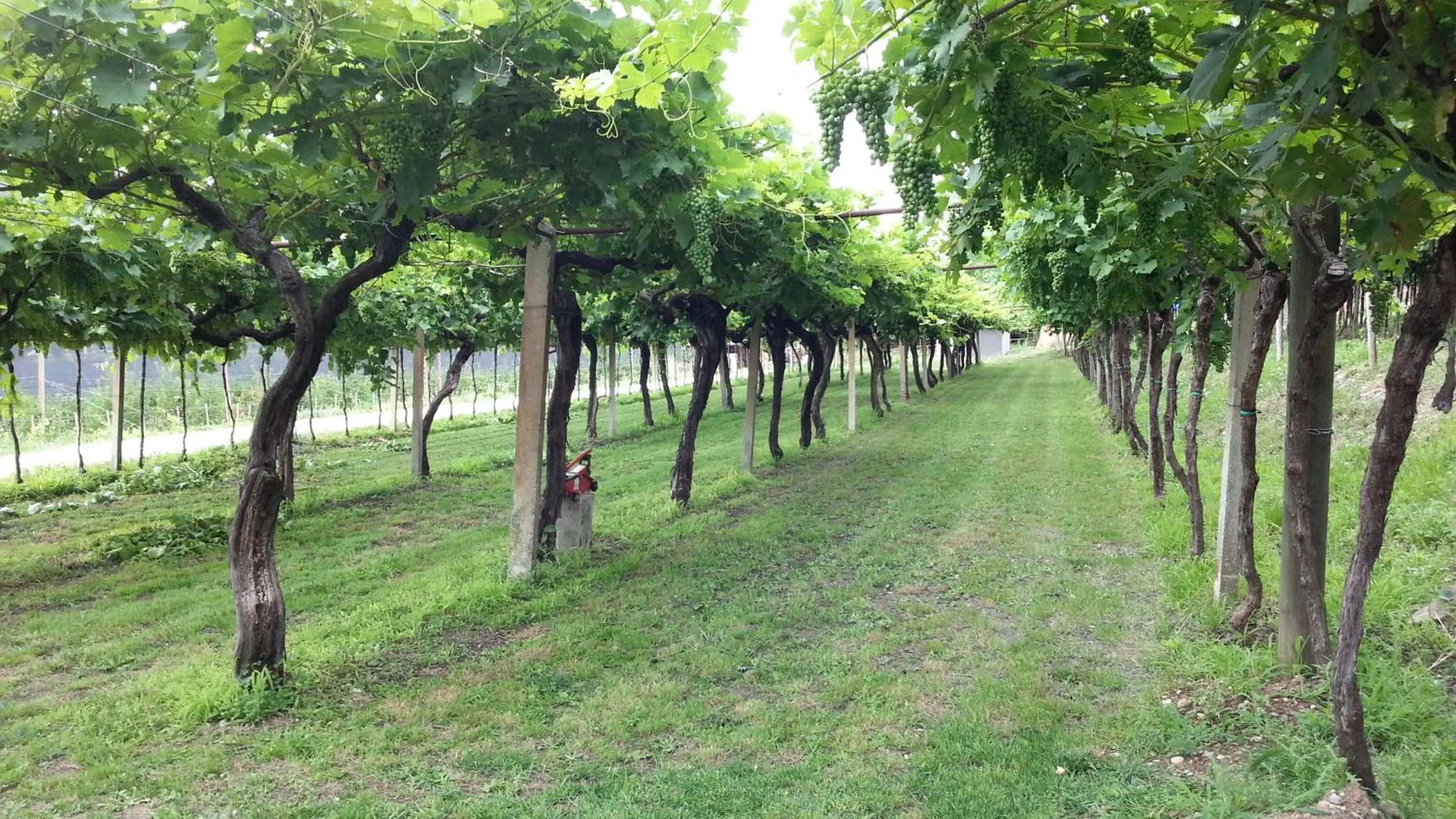 Garden in Relais des Roches