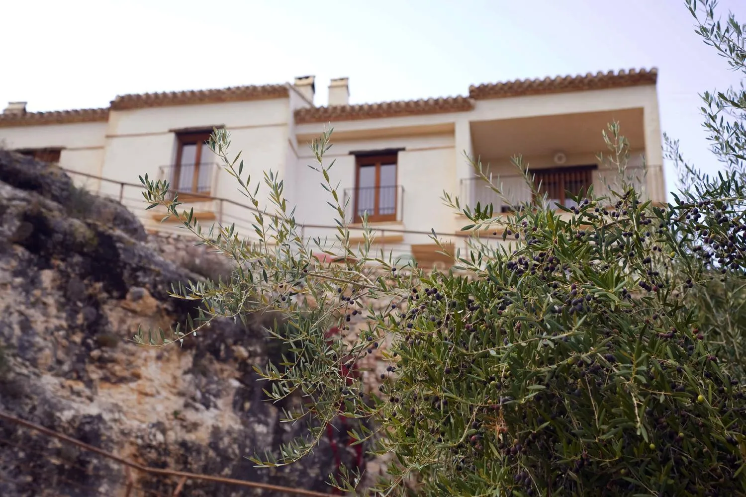 Property building in Bajo El Cejo