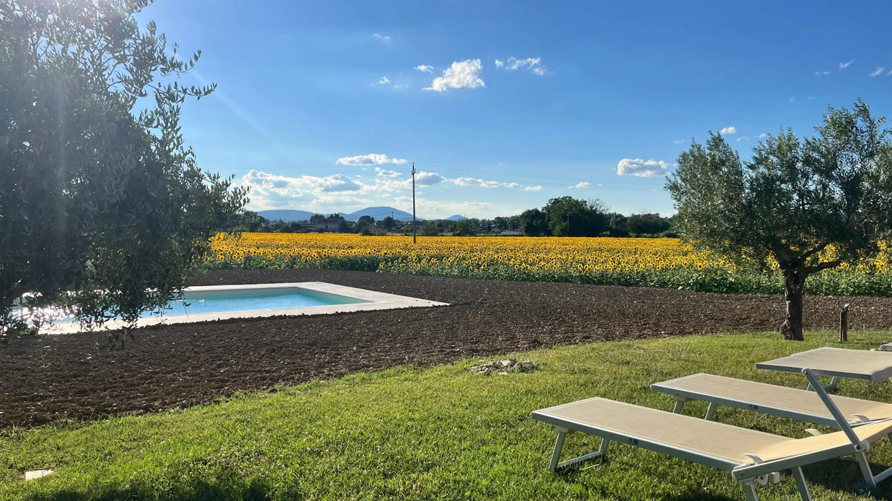 Swimming pool in Assisium Agriturismo