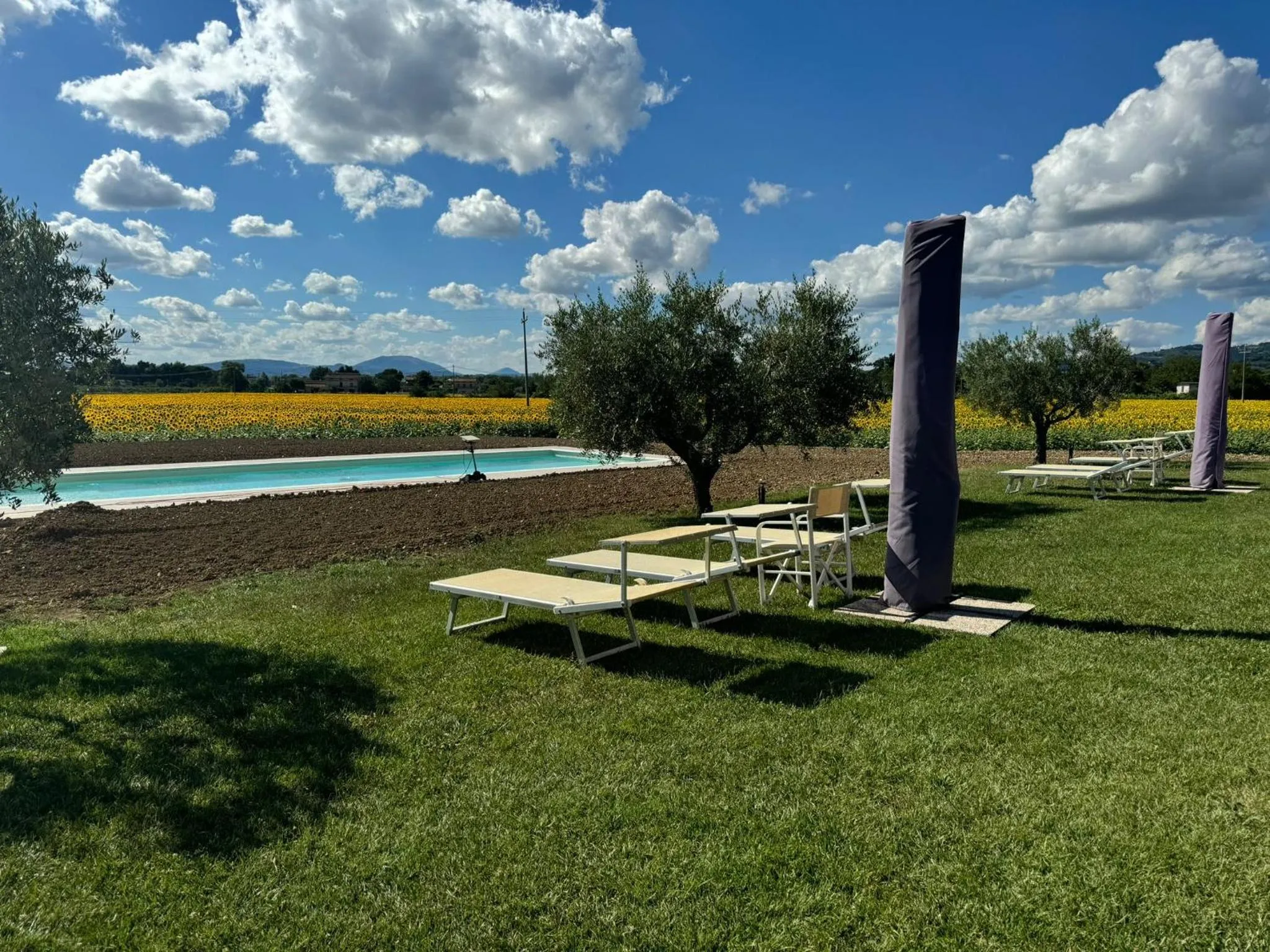 Swimming pool in Assisium Agriturismo