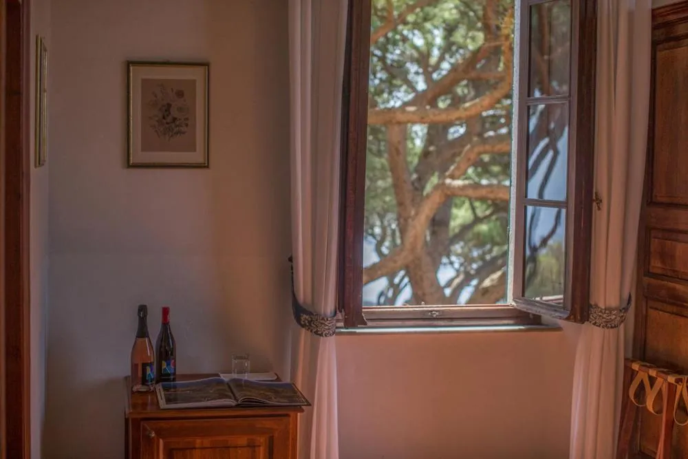 Tenuta Delle Ripalte