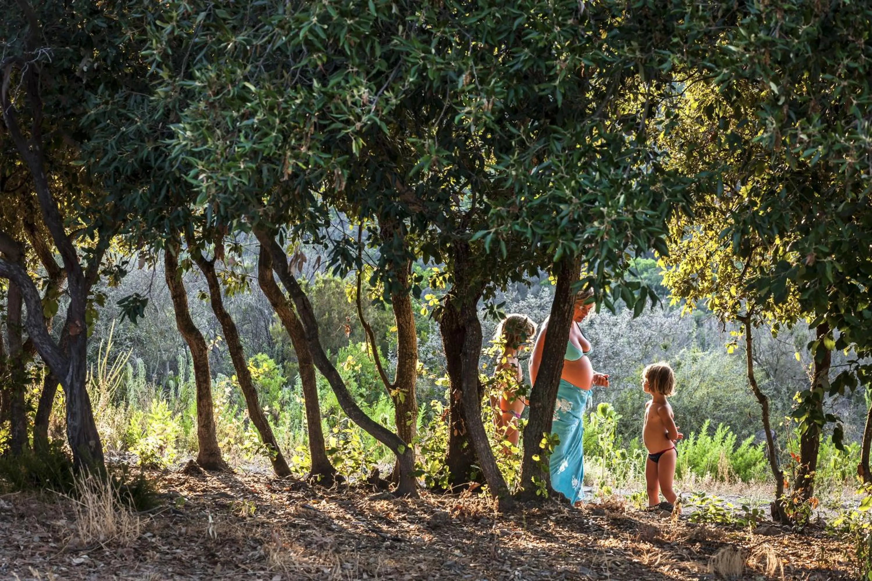 Garden in Tenuta Delle Ripalte