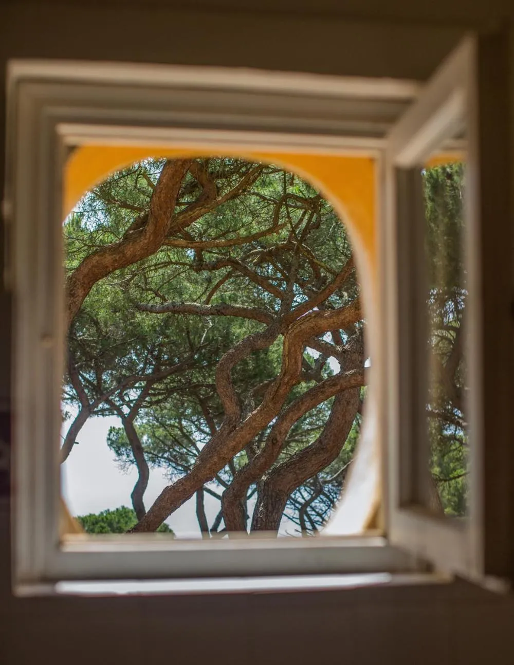 Tenuta Delle Ripalte