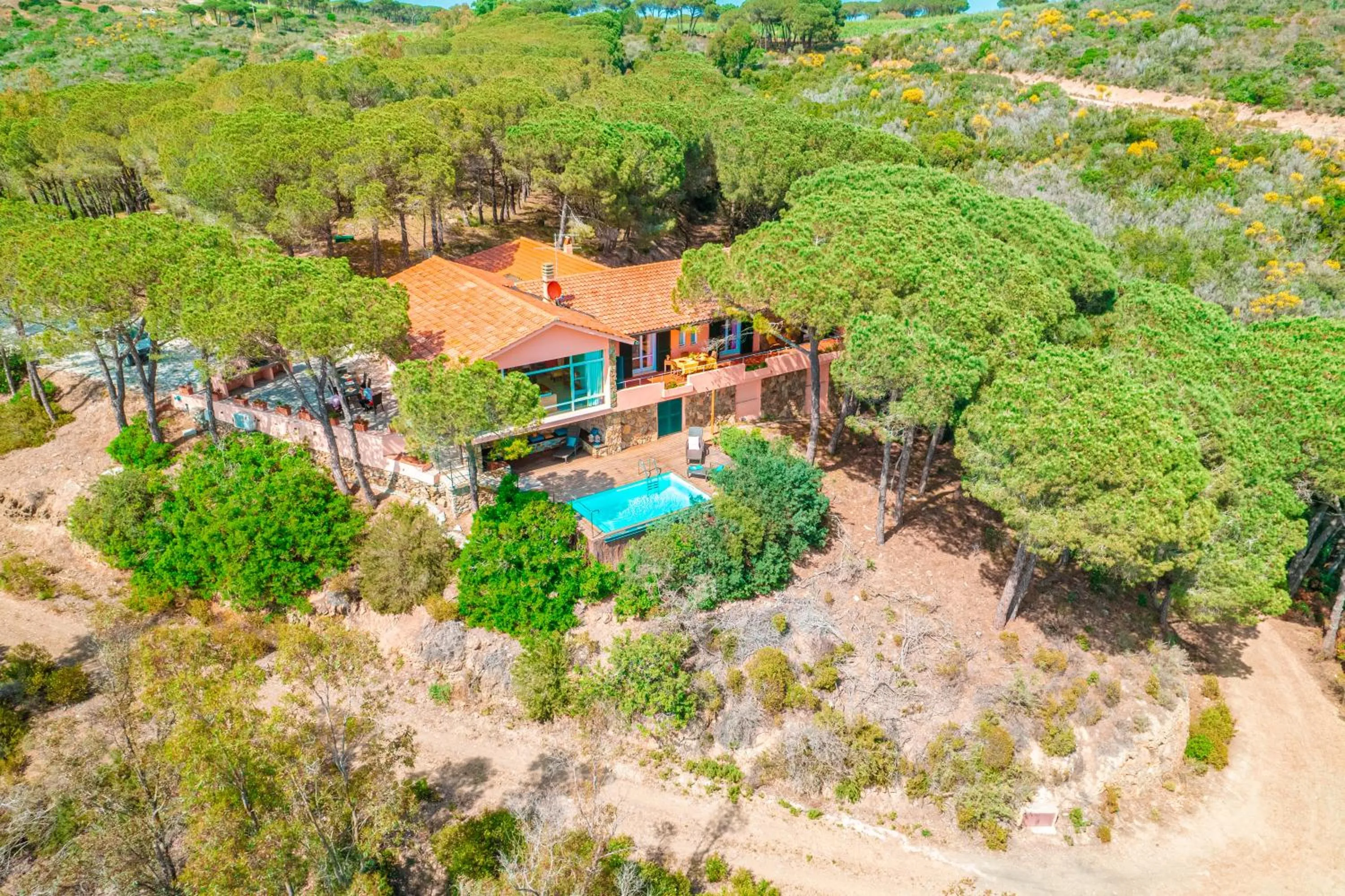 Tenuta Delle Ripalte