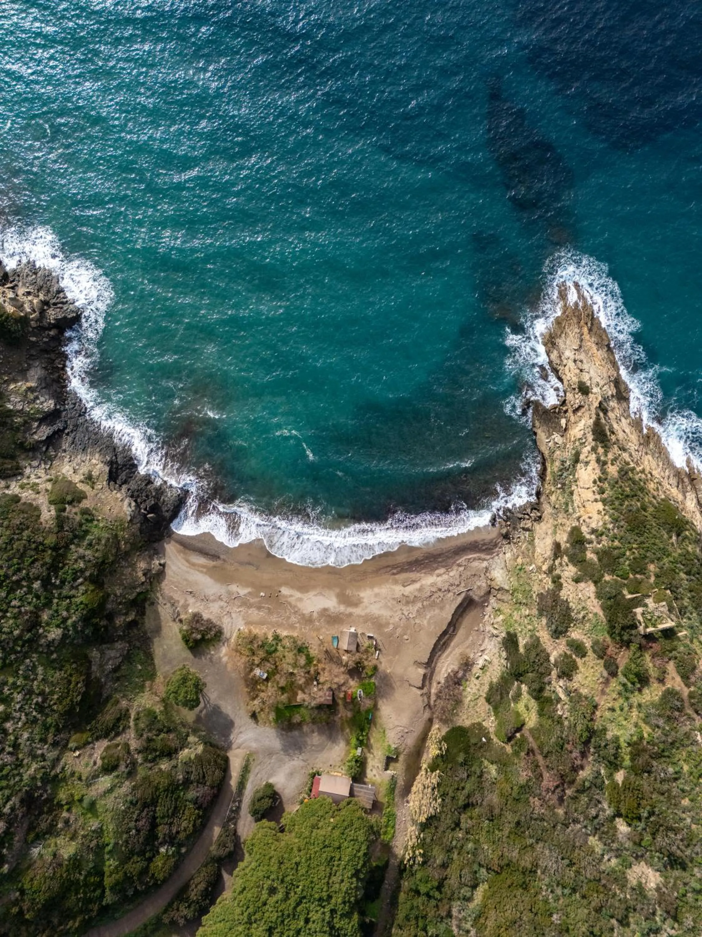 Tenuta Delle Ripalte