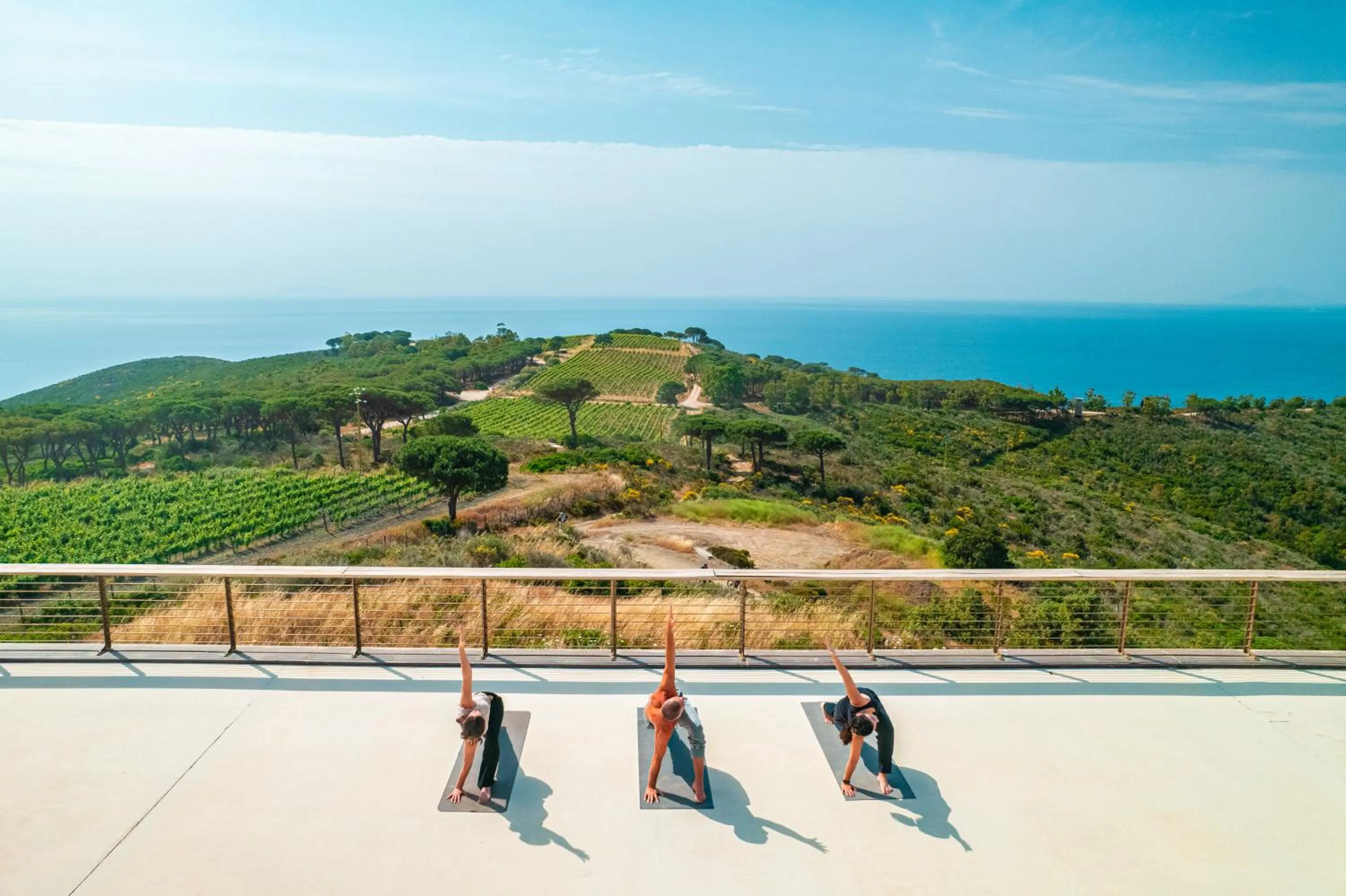 Tenuta Delle Ripalte