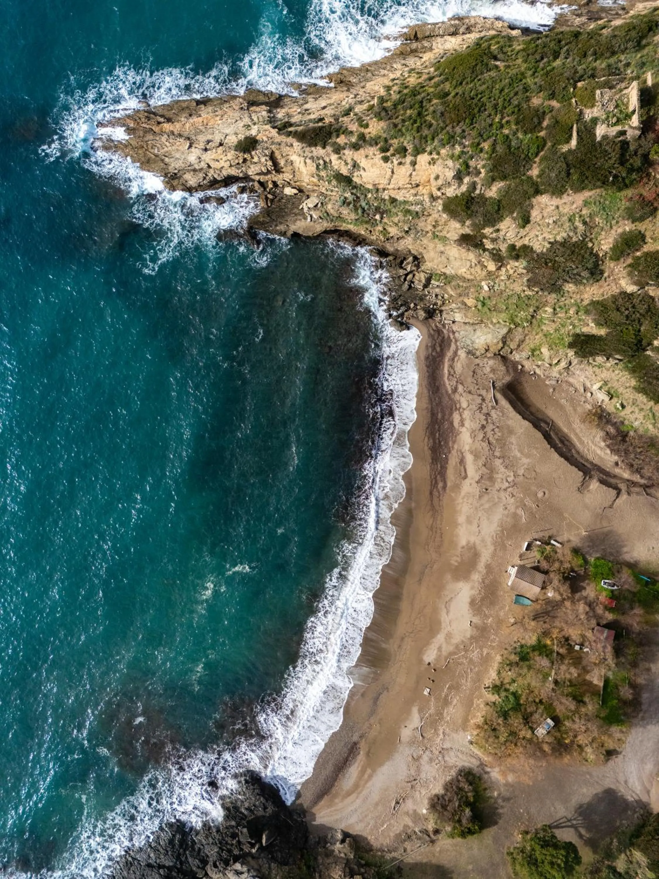 Tenuta Delle Ripalte