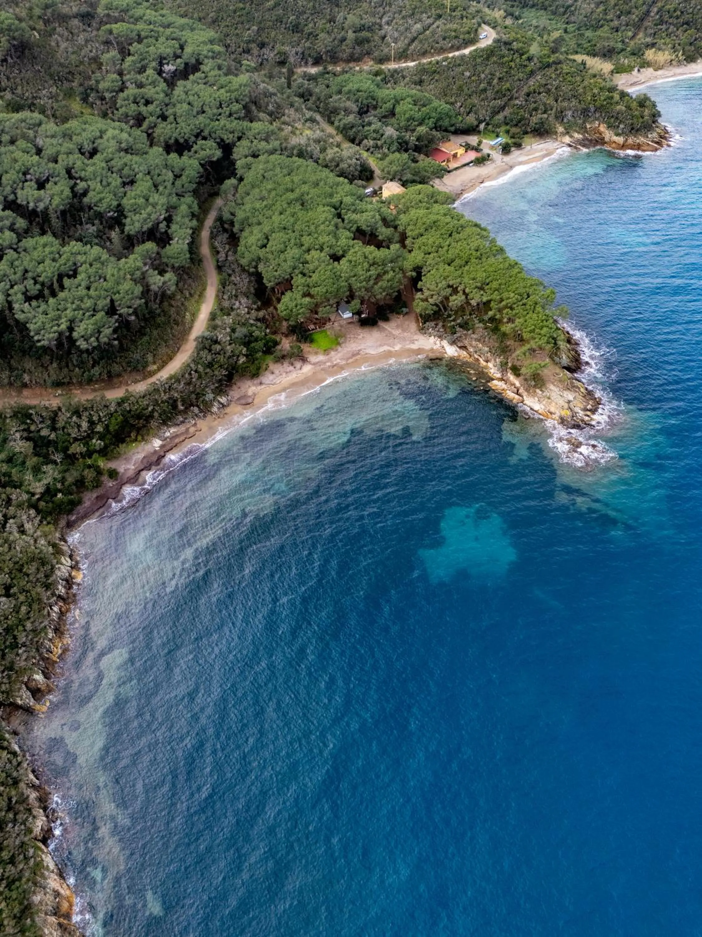 Tenuta Delle Ripalte