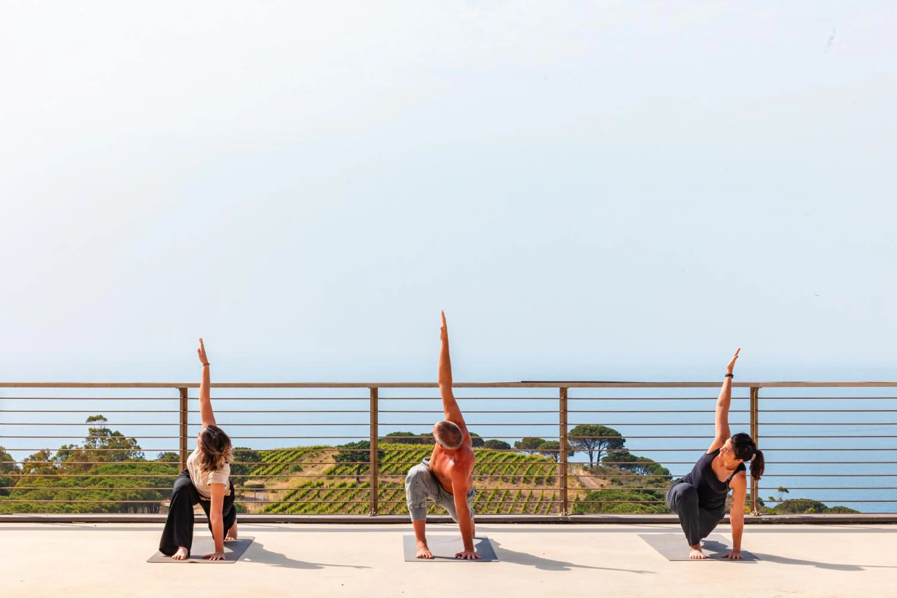 Tenuta Delle Ripalte