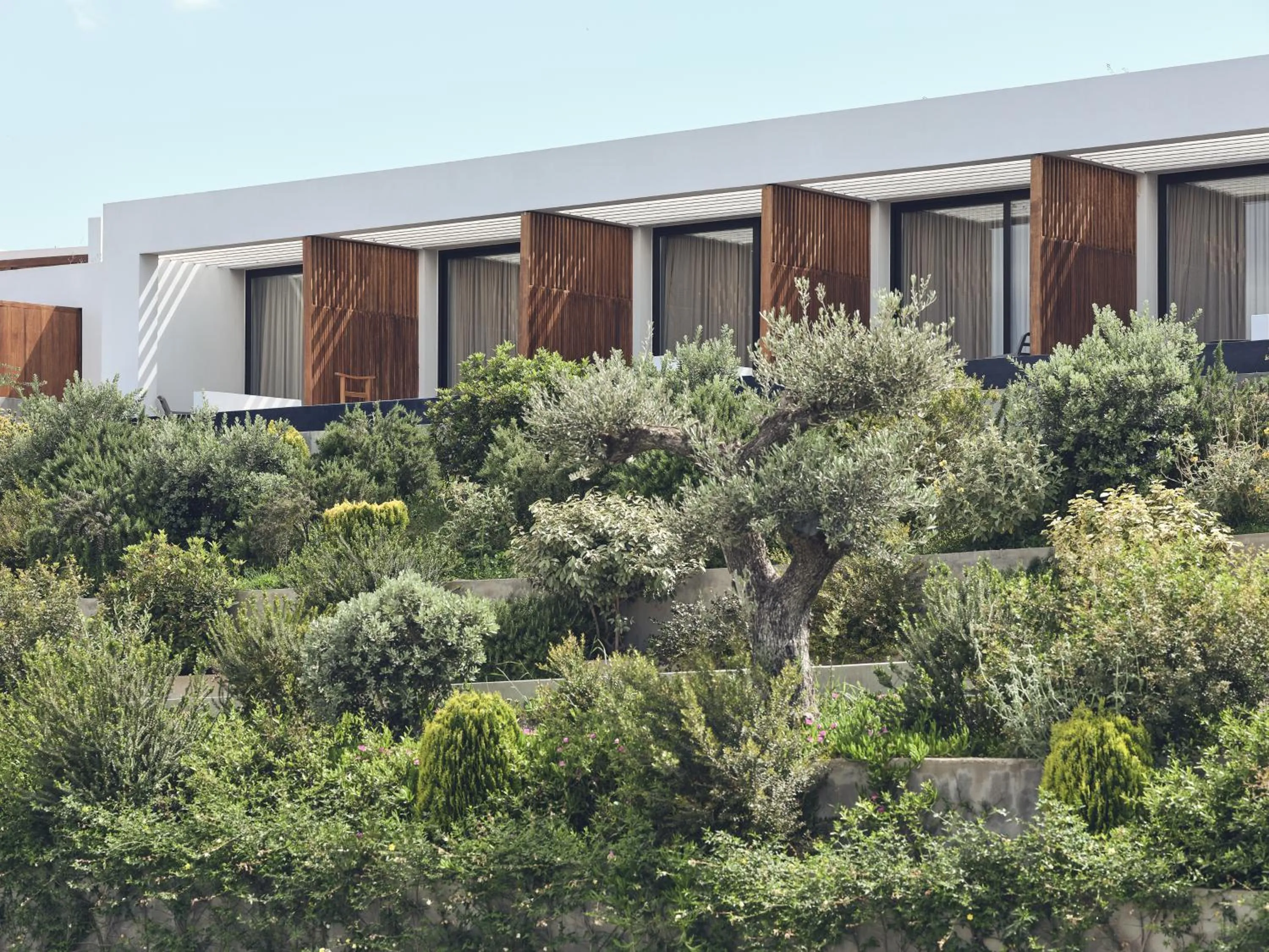 Garden in Zante Maris Suites - Adults Only