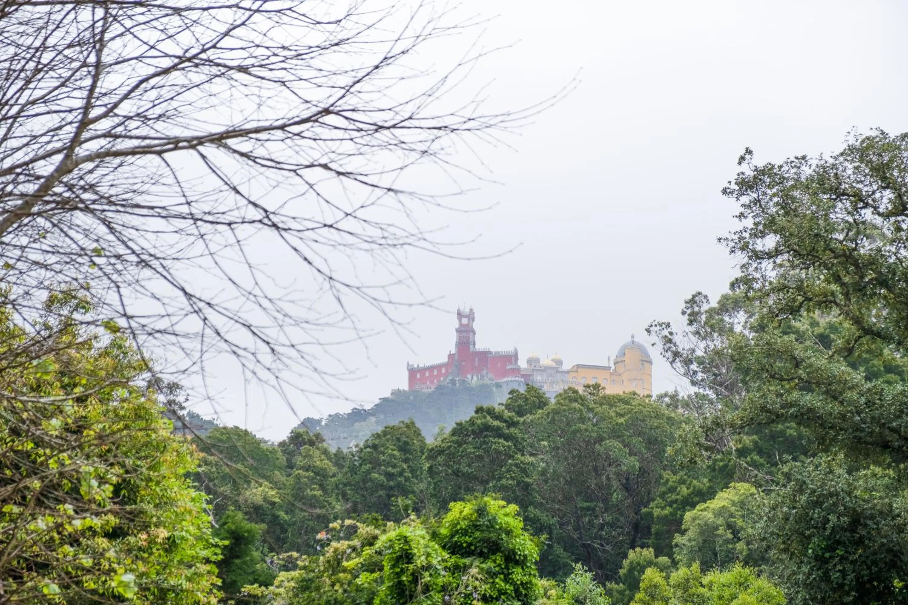 Nearby landmark in Eighteen21 Houses - Quinta Velha