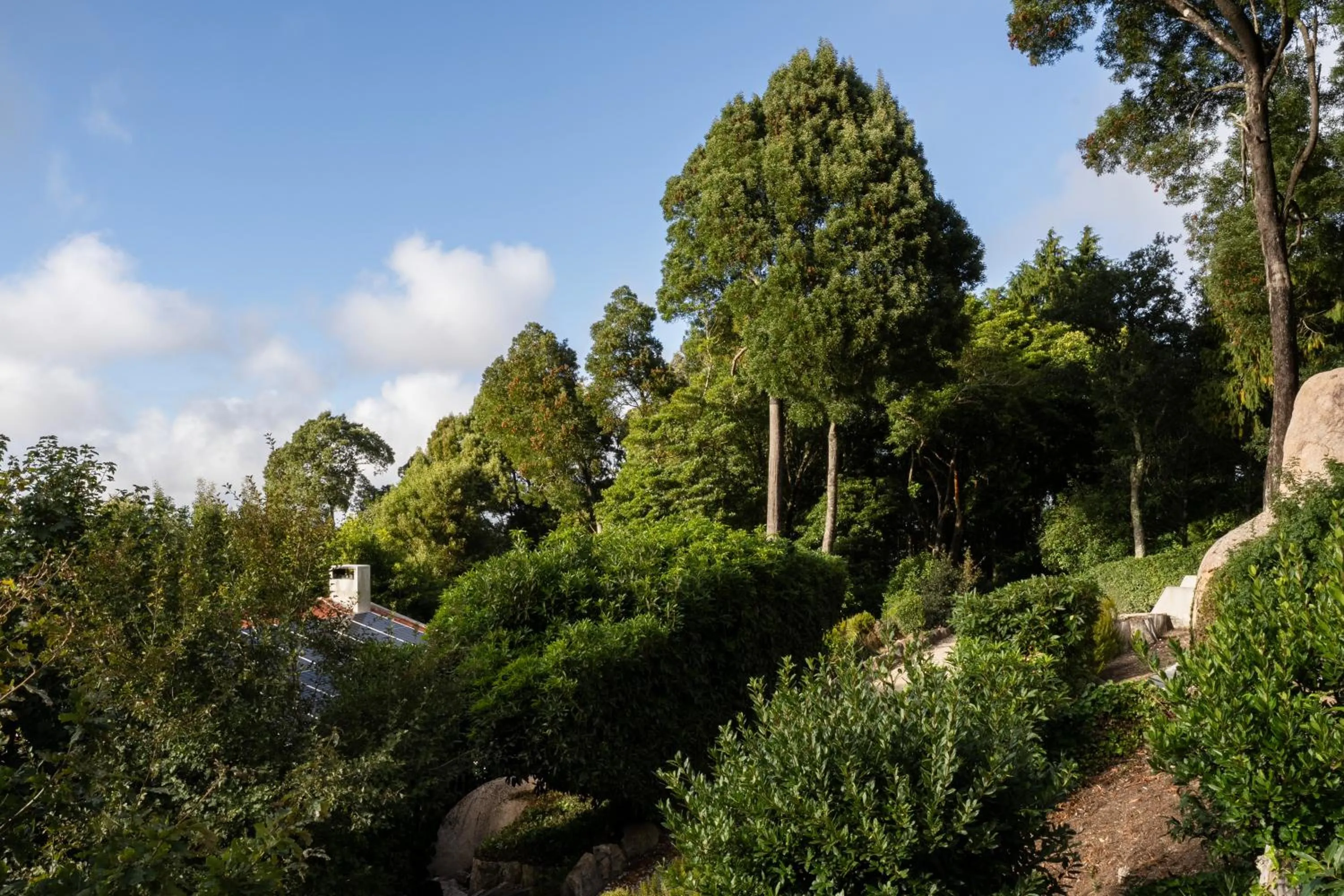 Garden in Eighteen21 Houses - Quinta Velha