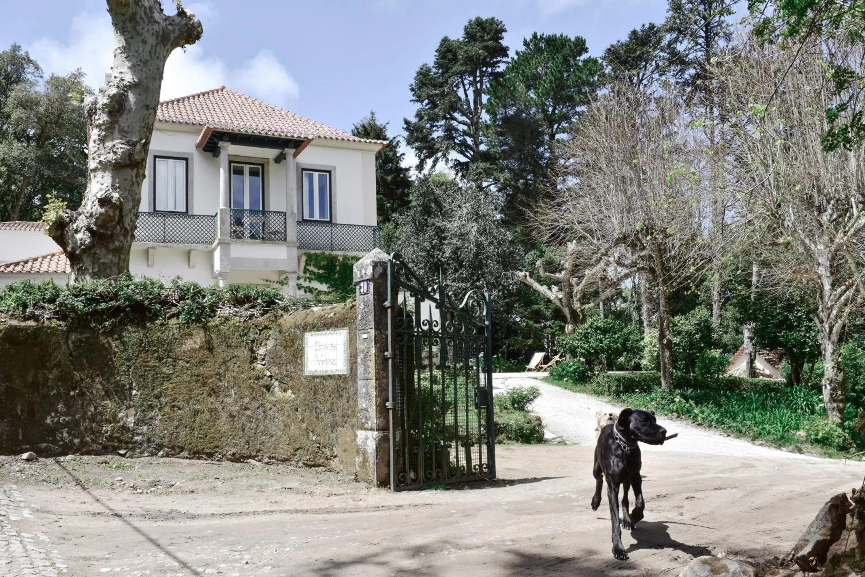 Facade/entrance in Eighteen21 Houses - Quinta Velha