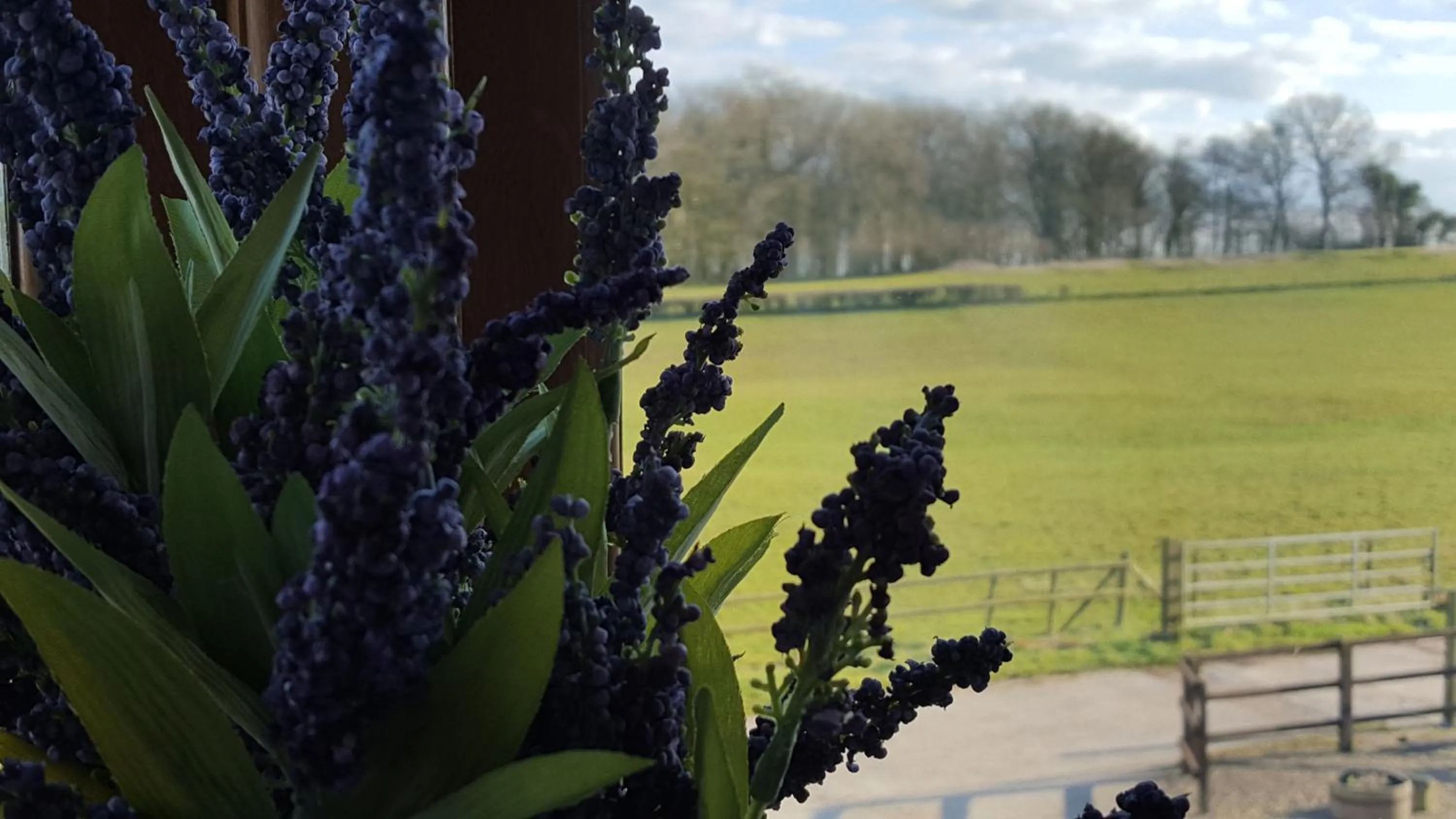 View (from property/room) in The Old Stables Bed & Breakfast