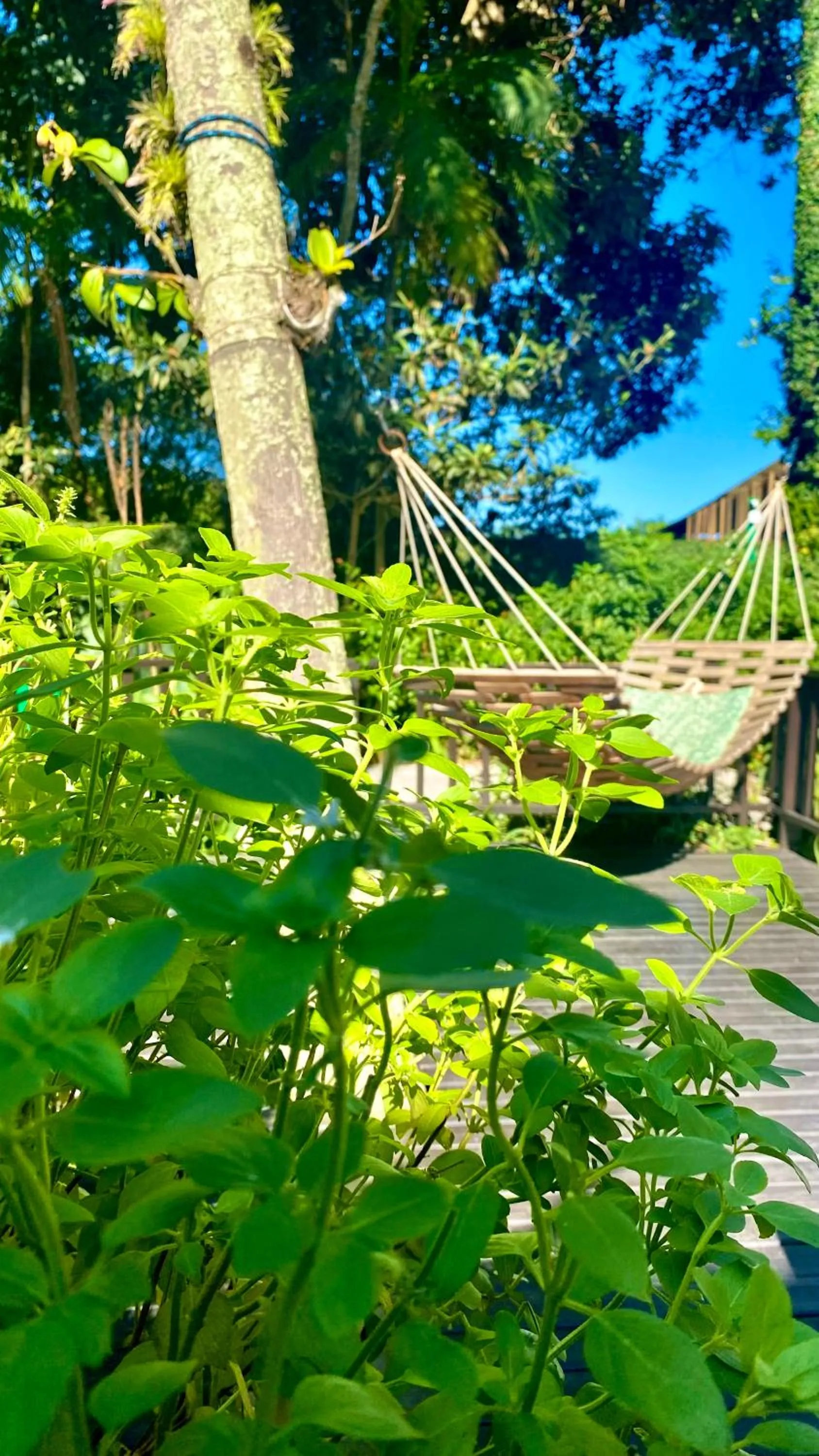 Hotel Natur Campeche