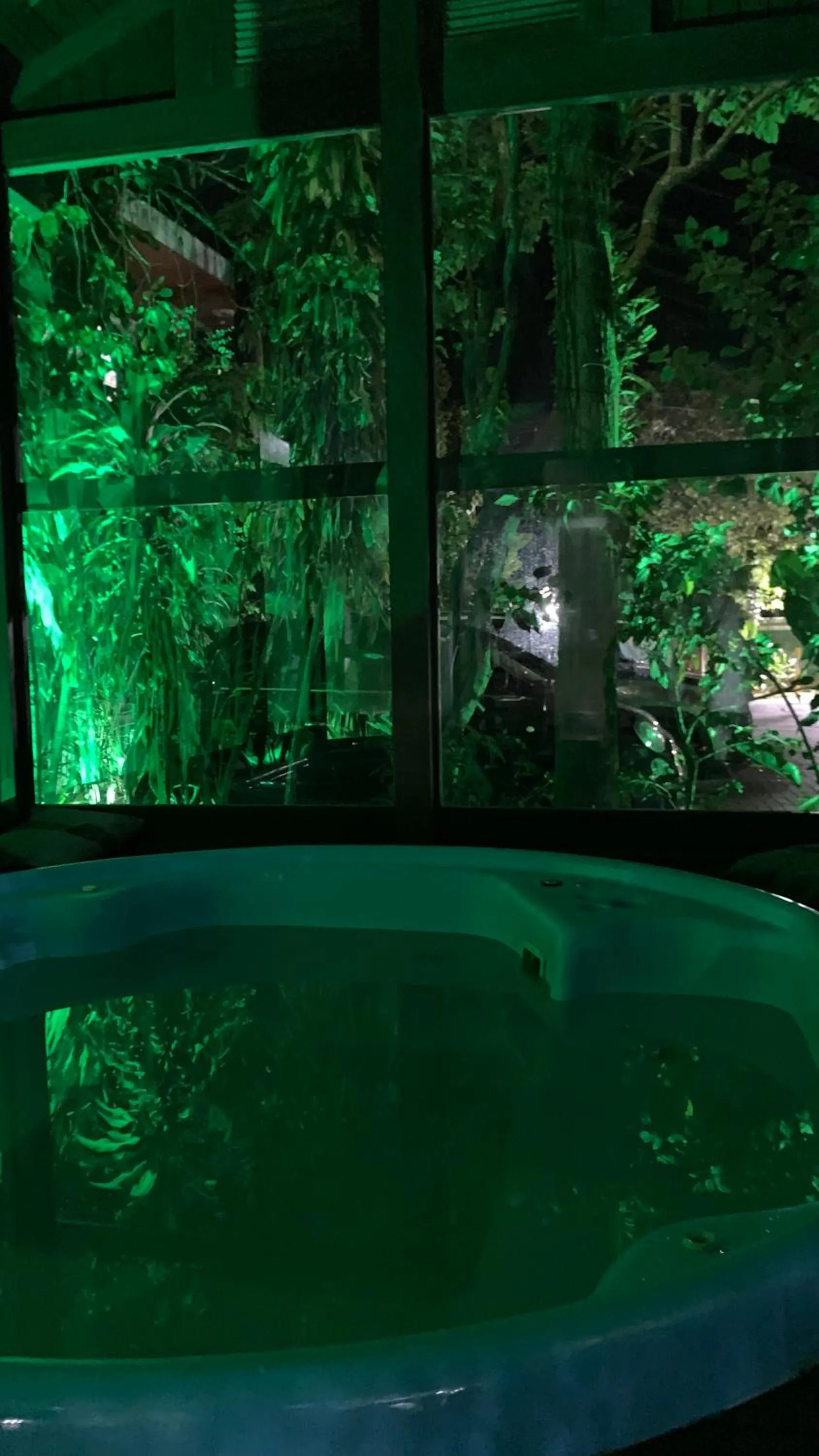 Hot Tub in Hotel Natur Campeche