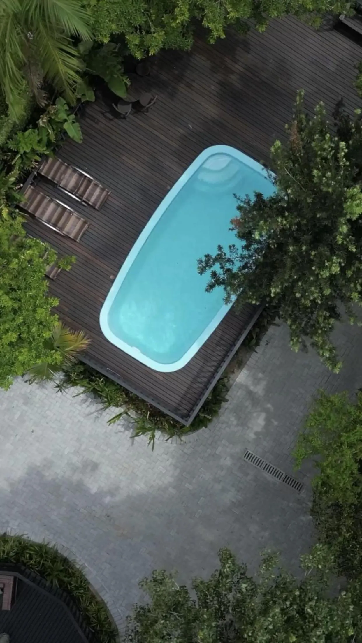 Swimming pool in Hotel Natur Campeche