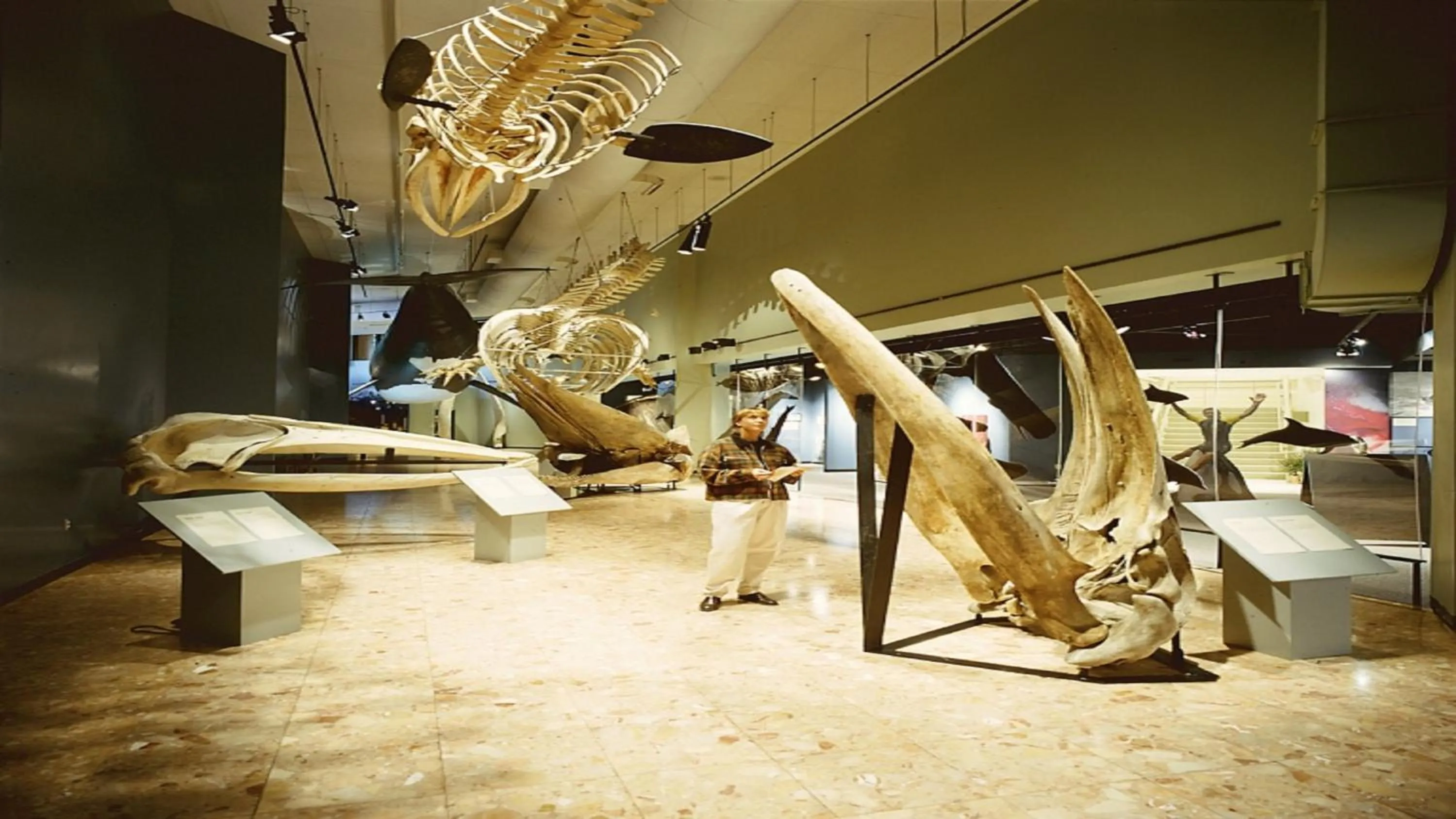 Nearby landmark in Holiday Inn Express Hotel & Suites Saint John Harbour Side by IHG