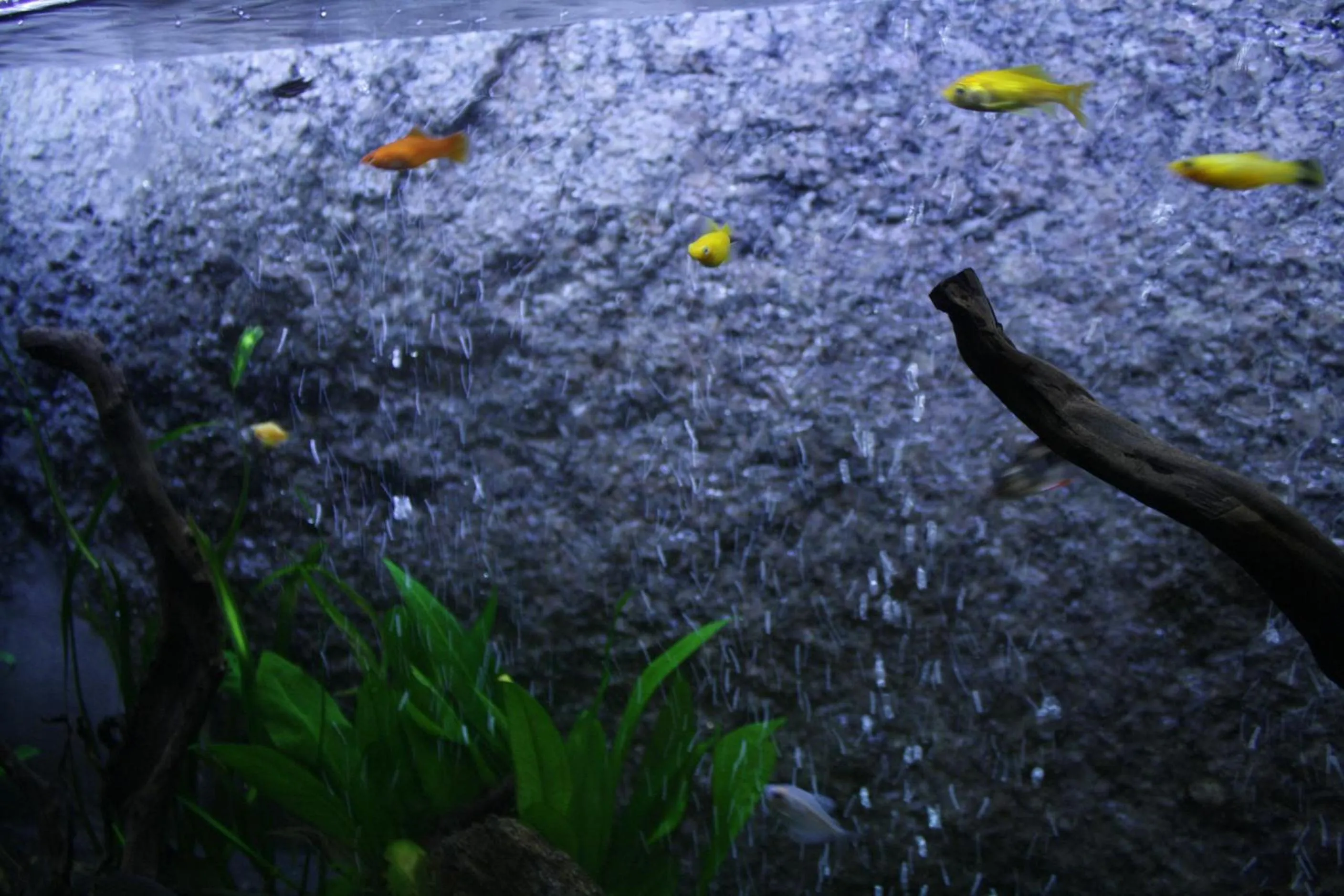 Decorative detail in Casa da Fonte Gerês