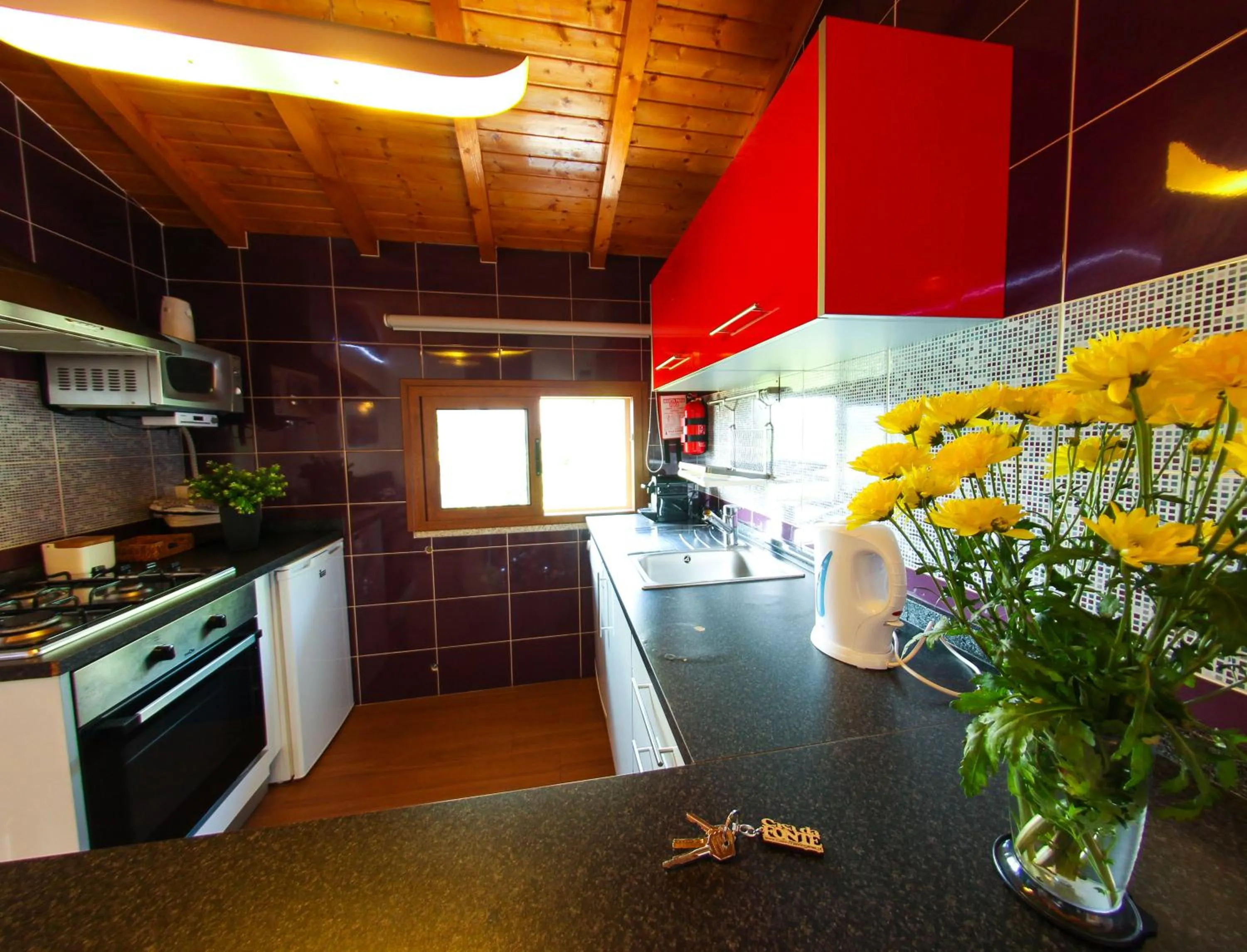 Kitchen or kitchenette in Casa da Fonte Gerês
