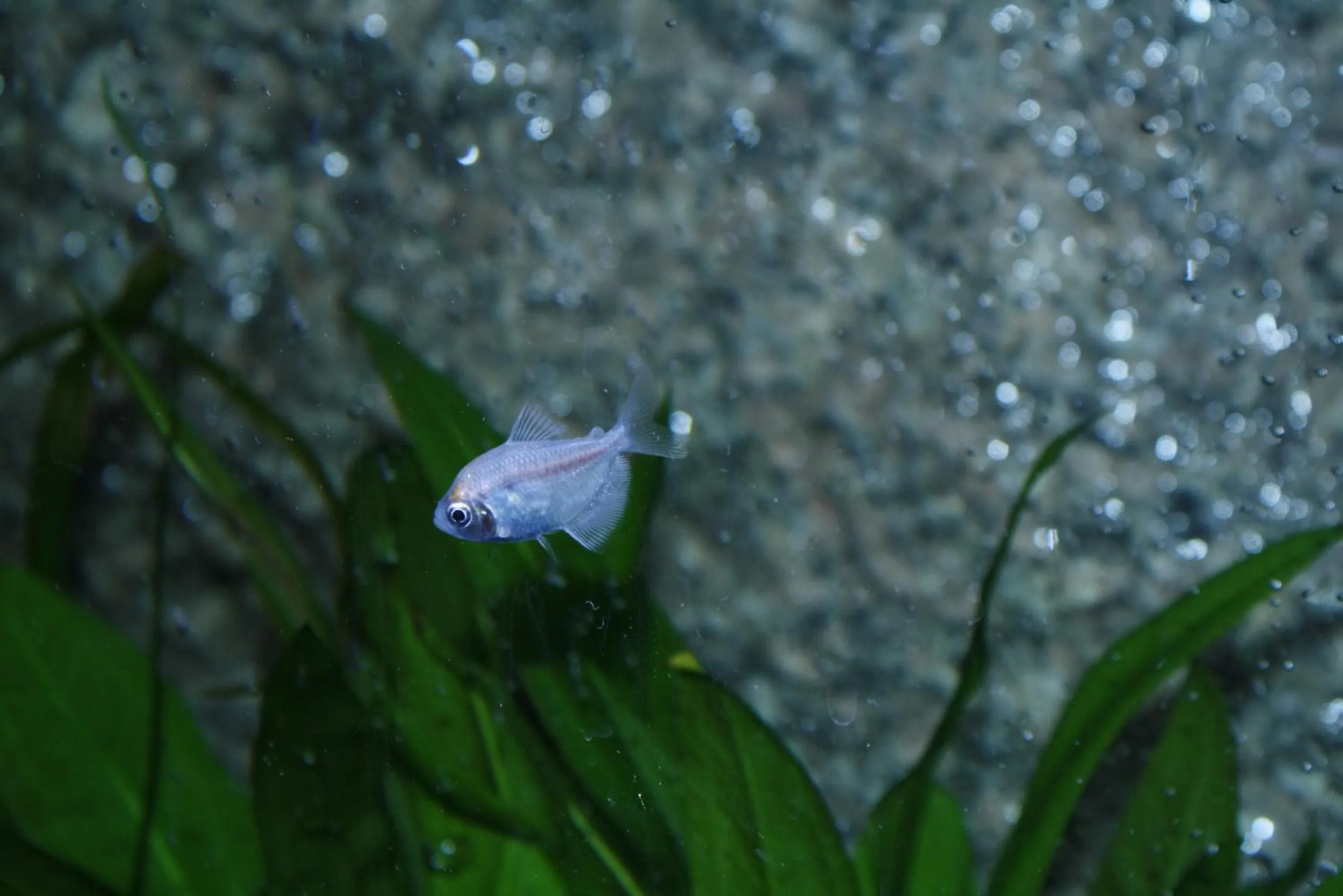 Decorative detail in Casa da Fonte Gerês