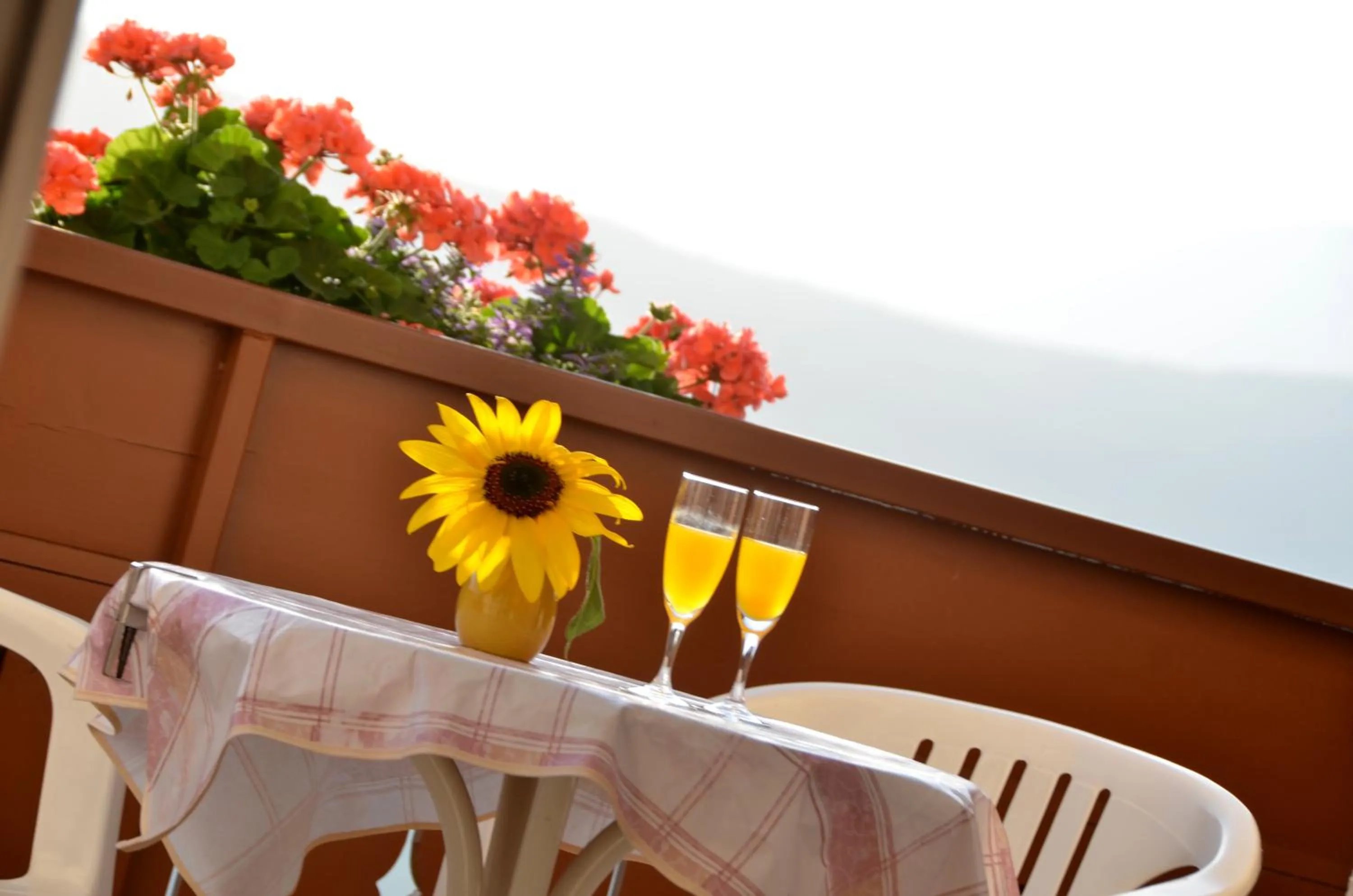Balcony/Terrace in Gästehaus Thaler