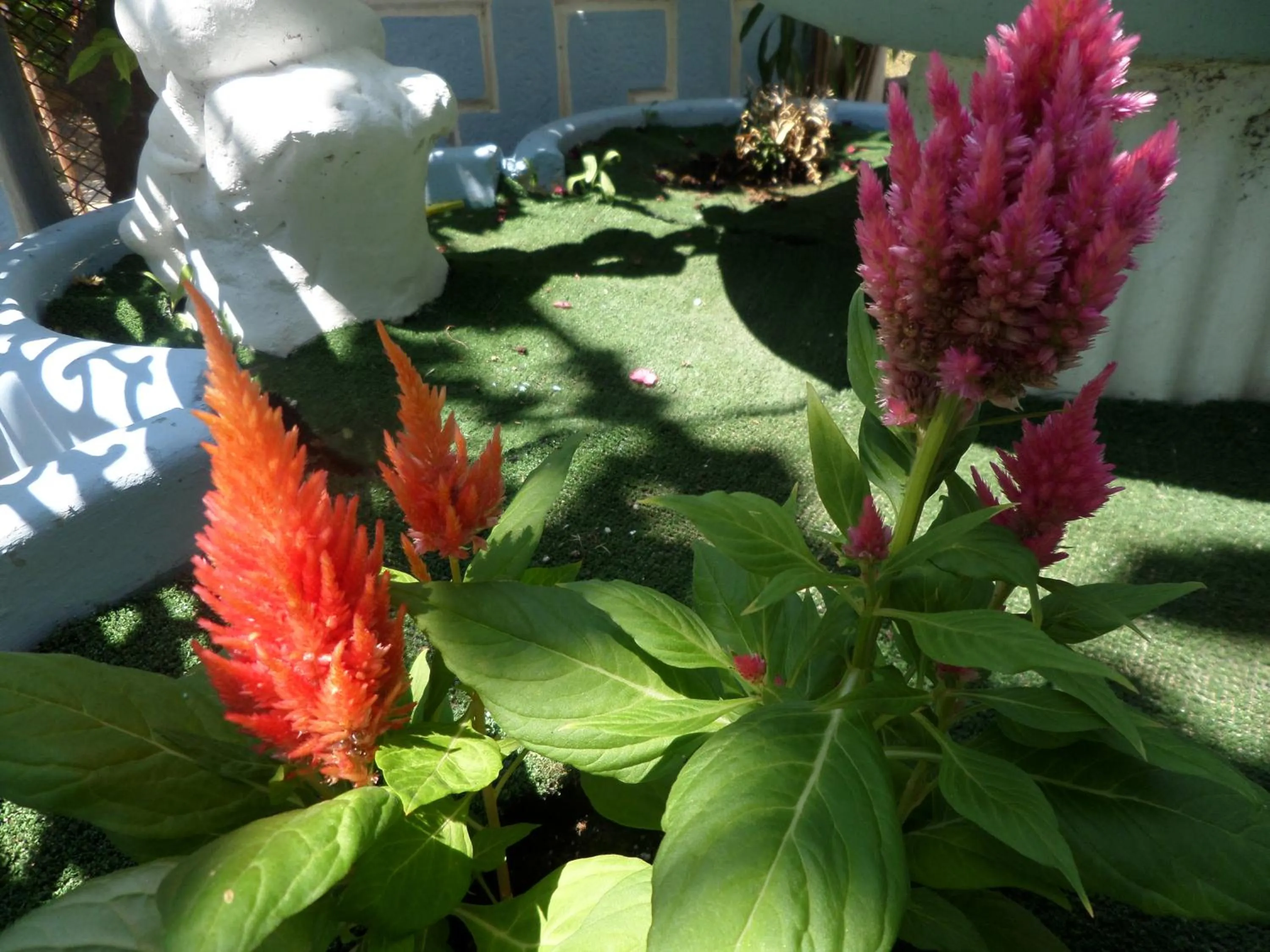 Property building in Artemis Studios & Apartments