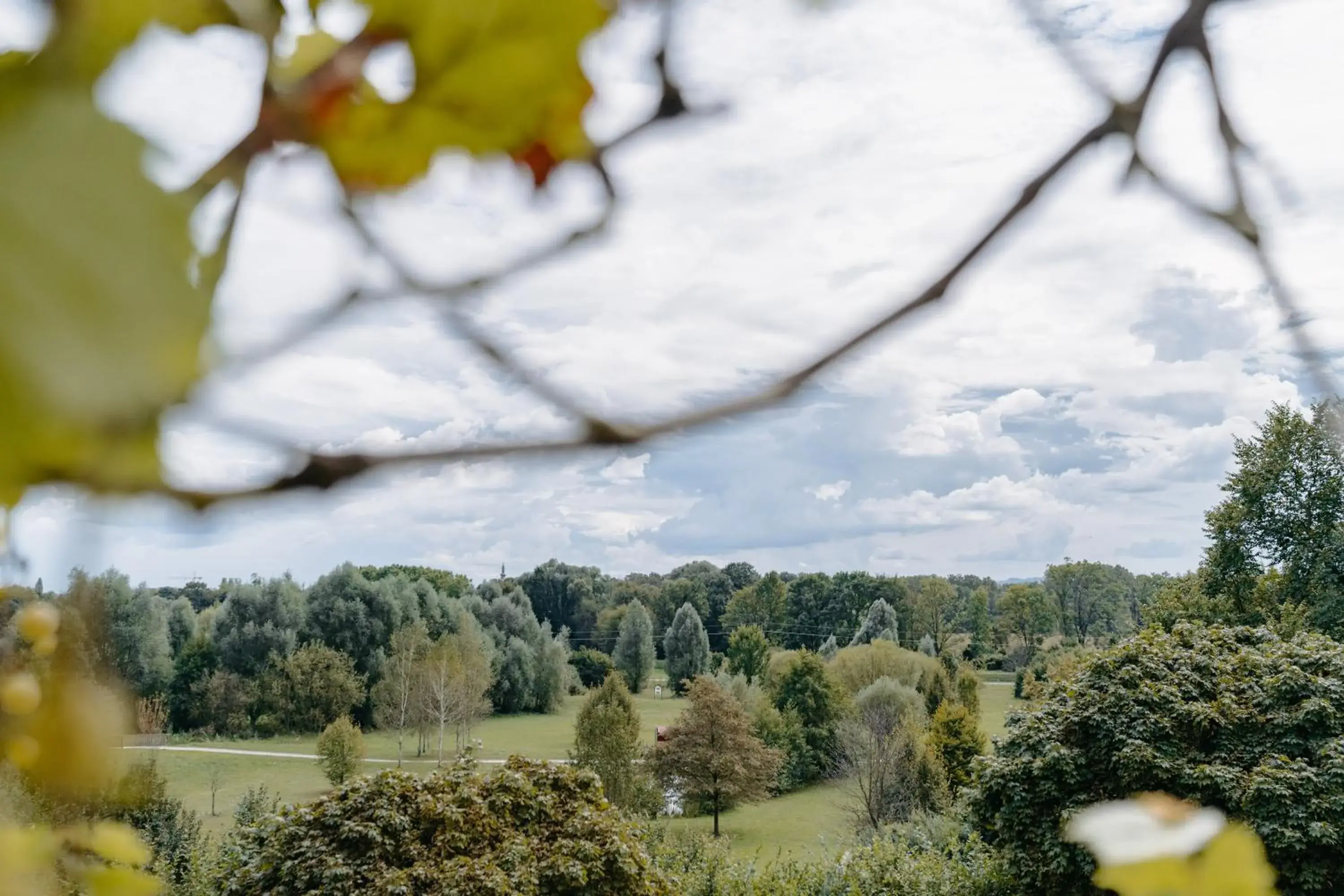 Classic Double Room - single occupancy in Hotel Staribacher Südsteiermark Classic Double Room - single occupancy in Hotel Staribacher Südsteiermark