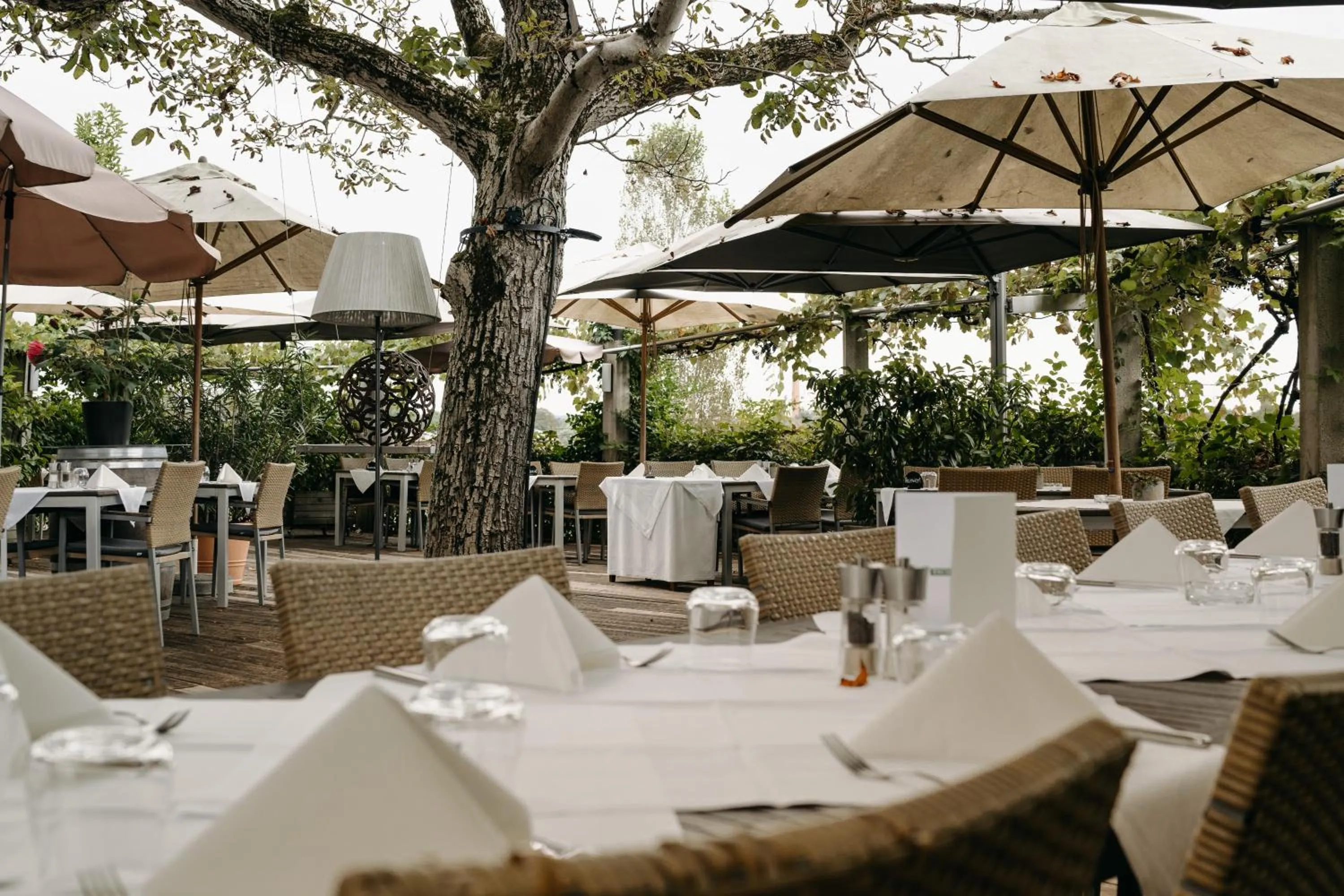 Restaurant/places to eat in Hotel Staribacher Südsteiermark