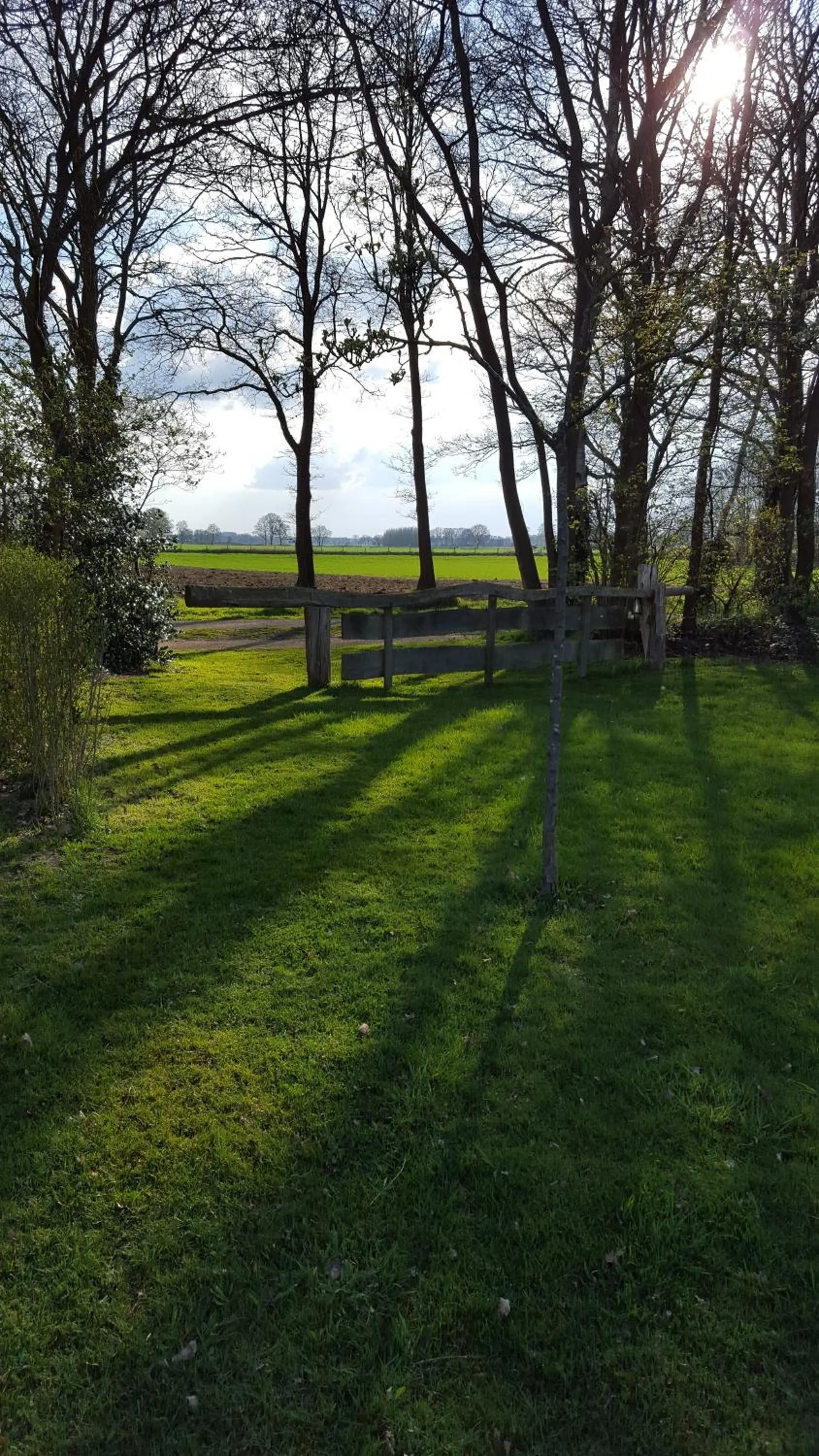 Garden view in Bed & Breakfast Markelo