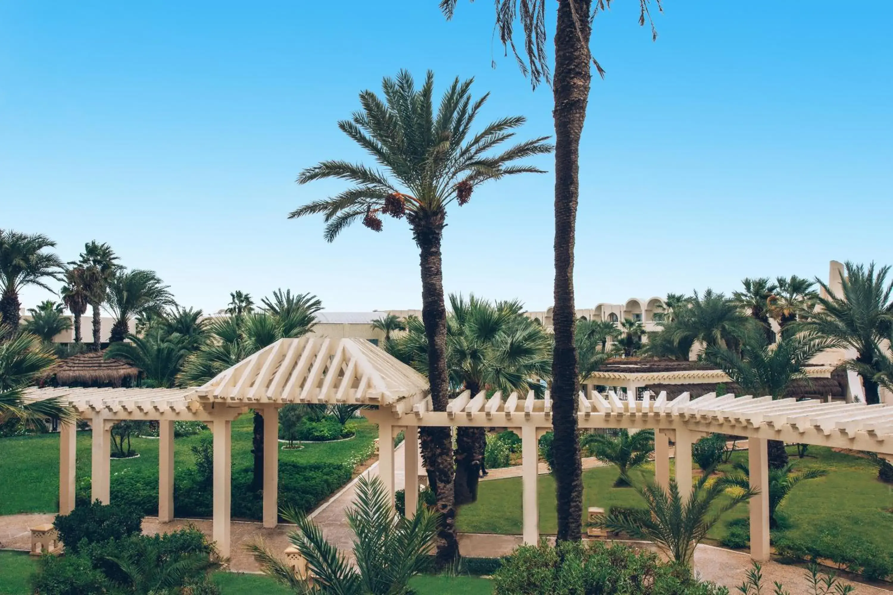 Double Garden View in Iberostar Waves Mehari Djerba Double Garden View in Iberostar Waves Mehari Djerba