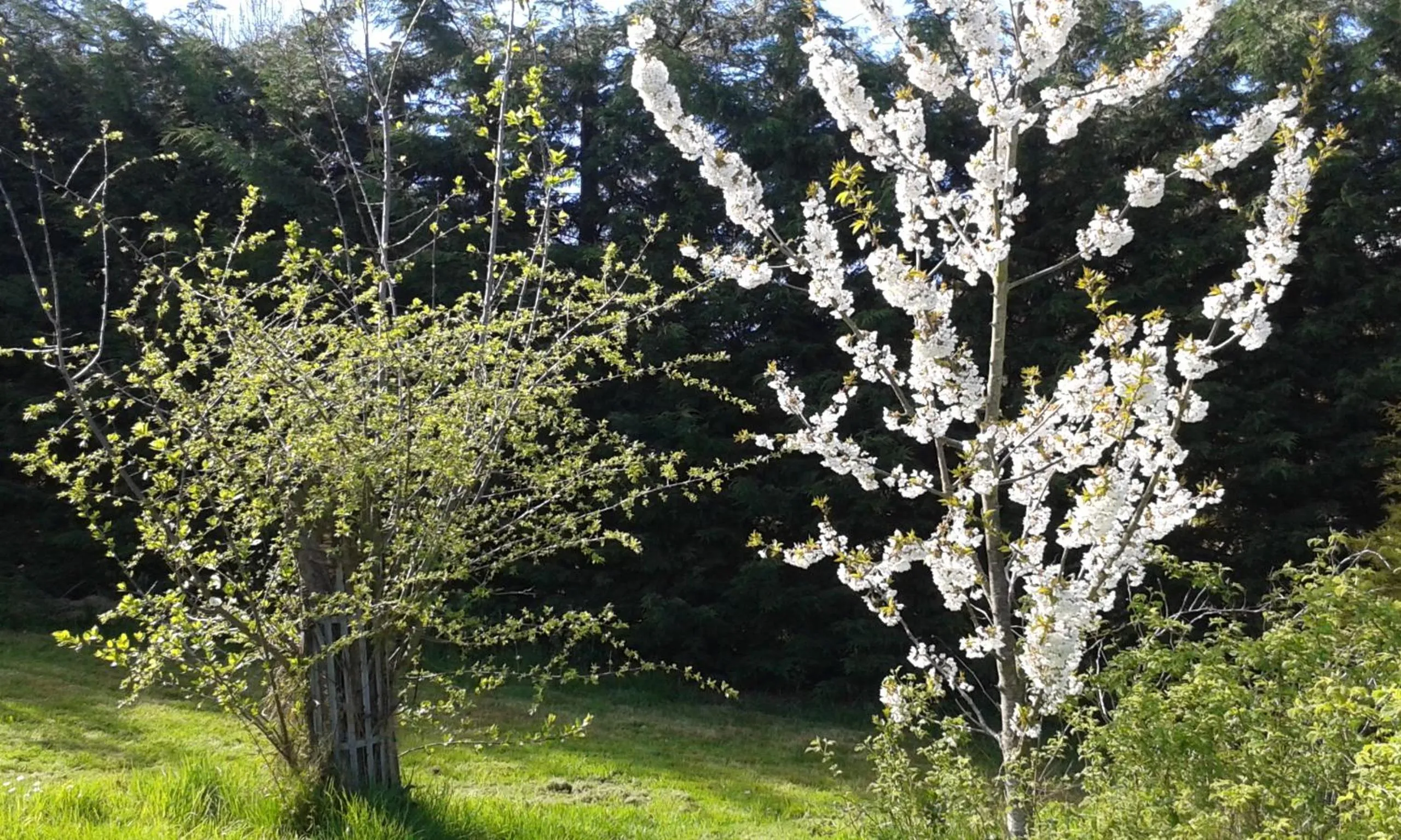 Other in Chambres d'Hôtes Entre Deux Rives