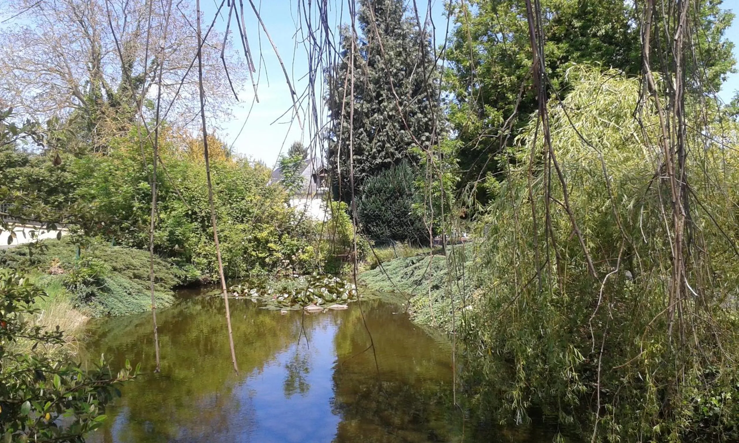 Chambres d'Hôtes Entre Deux Rives