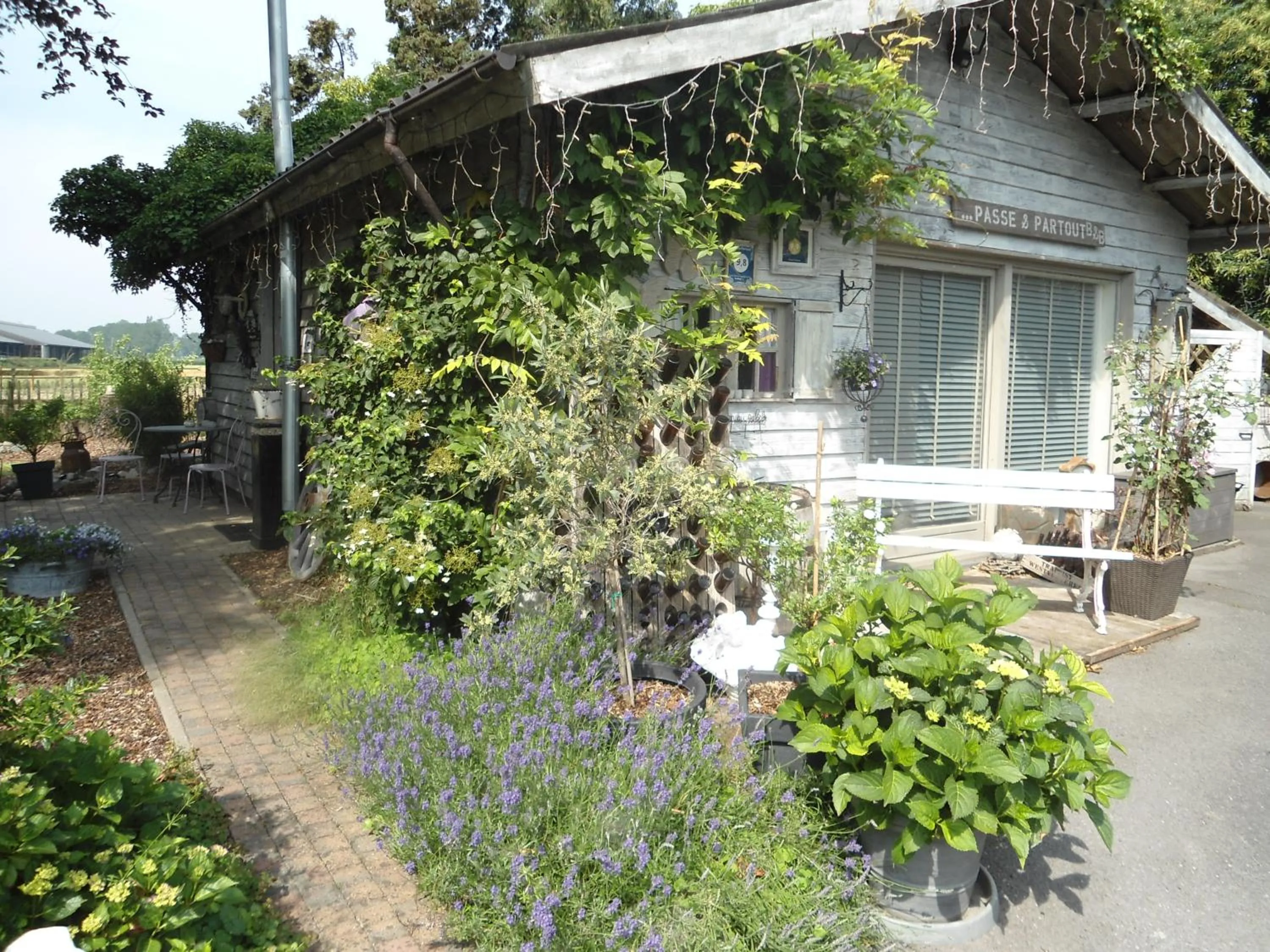 Property building in Passe-Partout