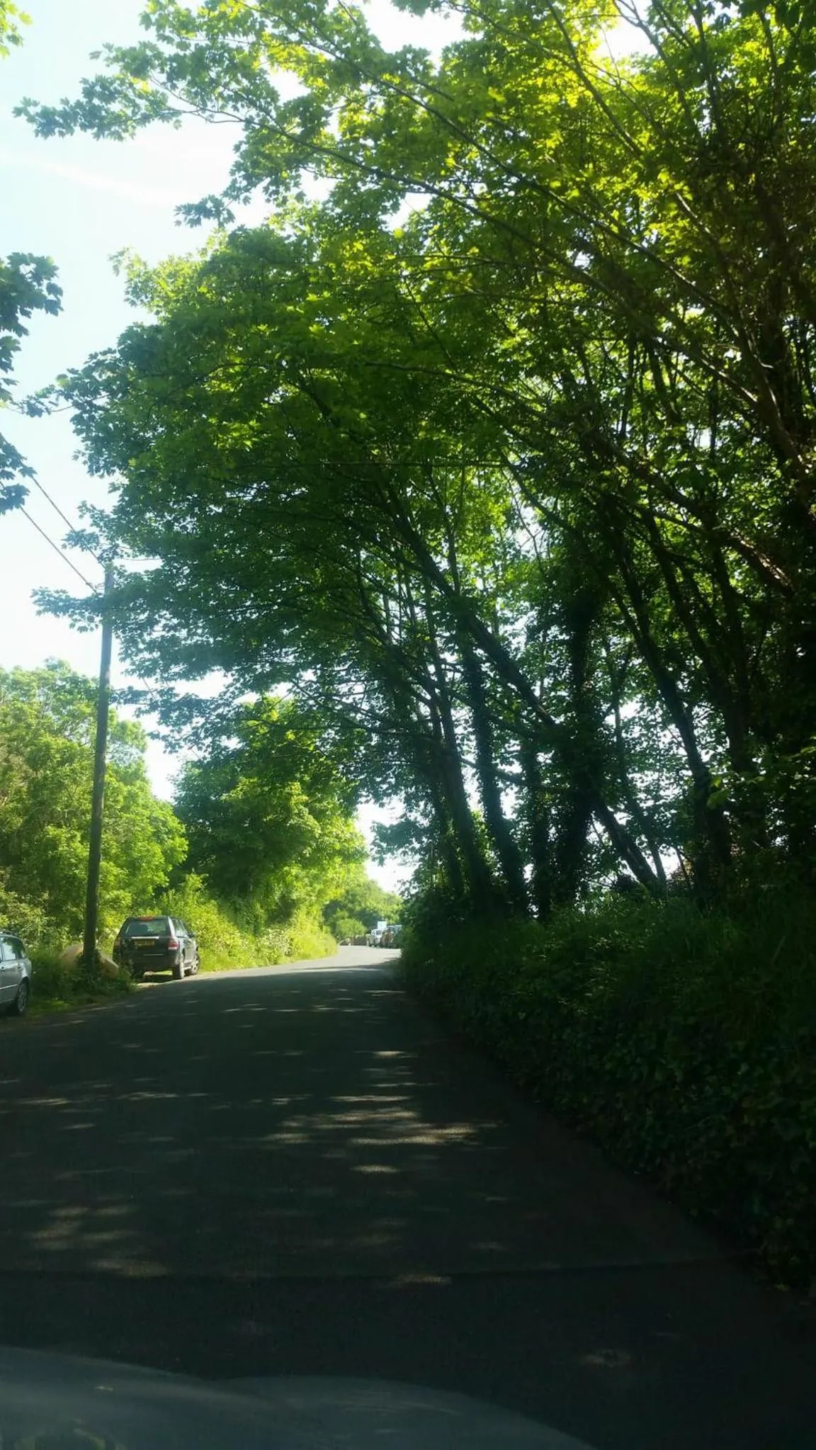 Natural landscape in Seasidesteps