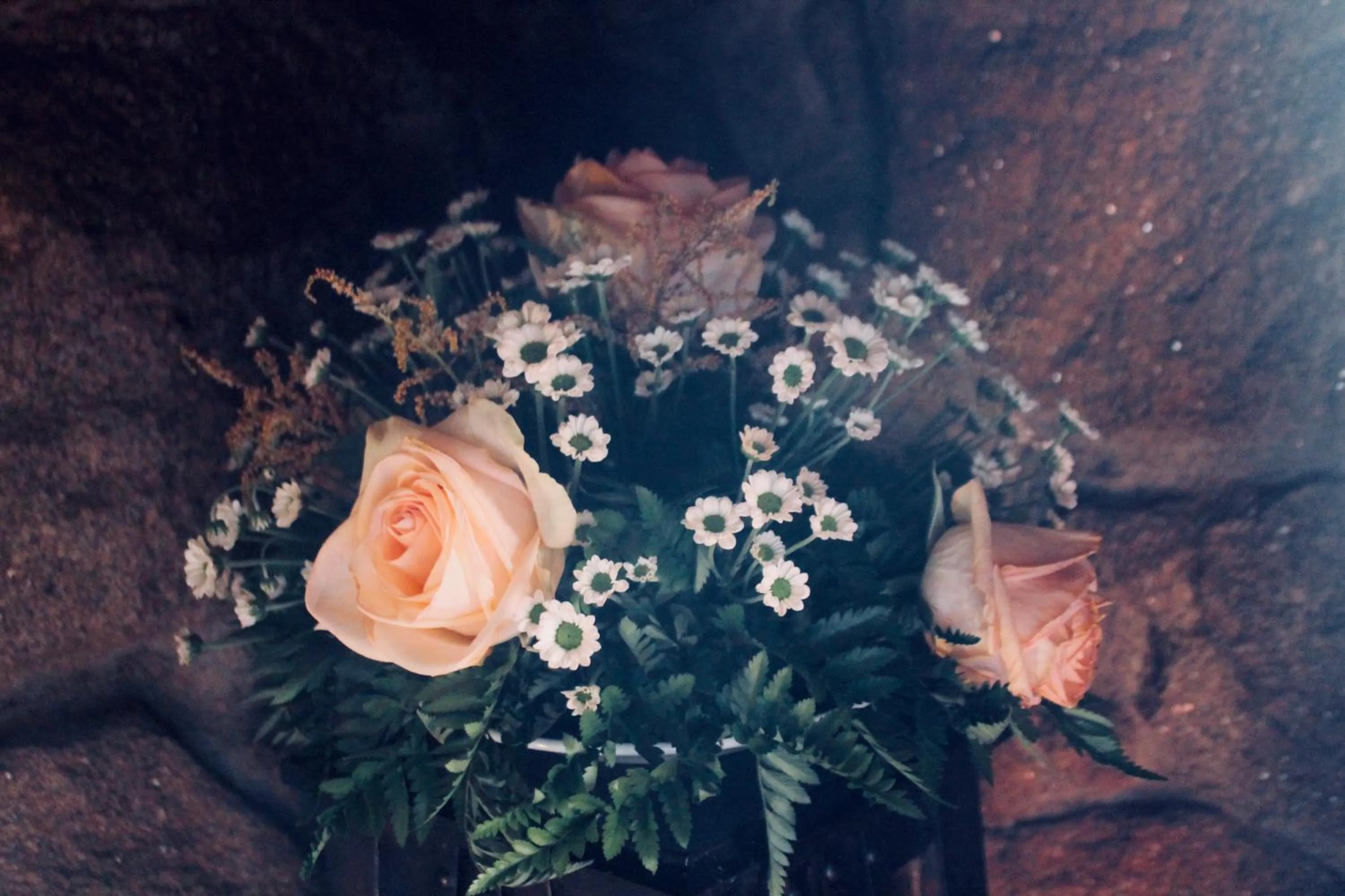 Summer in Quinta da Mata - Turismo de Habitação