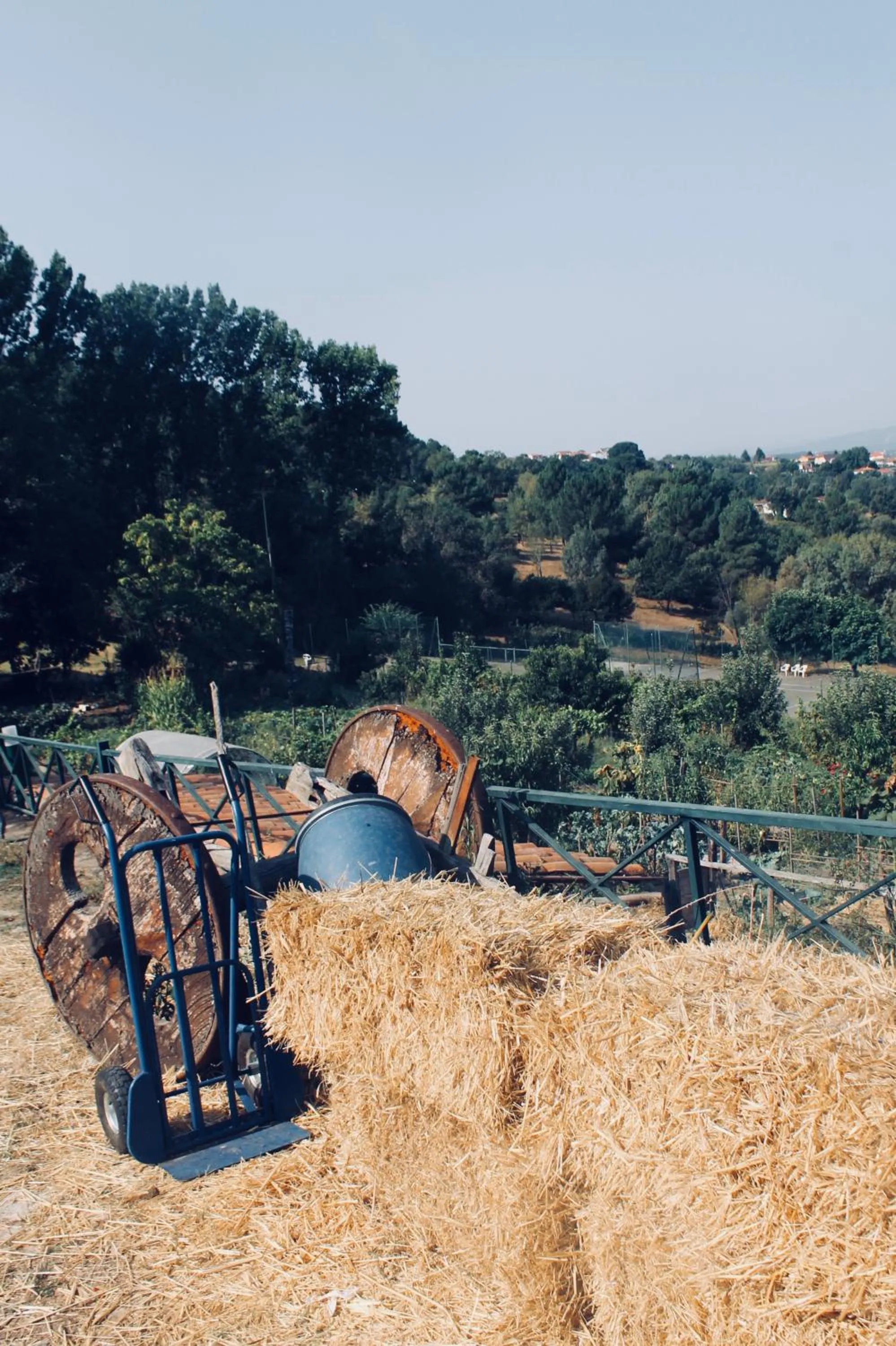 Decorative detail in Quinta da Mata - Turismo de Habitação