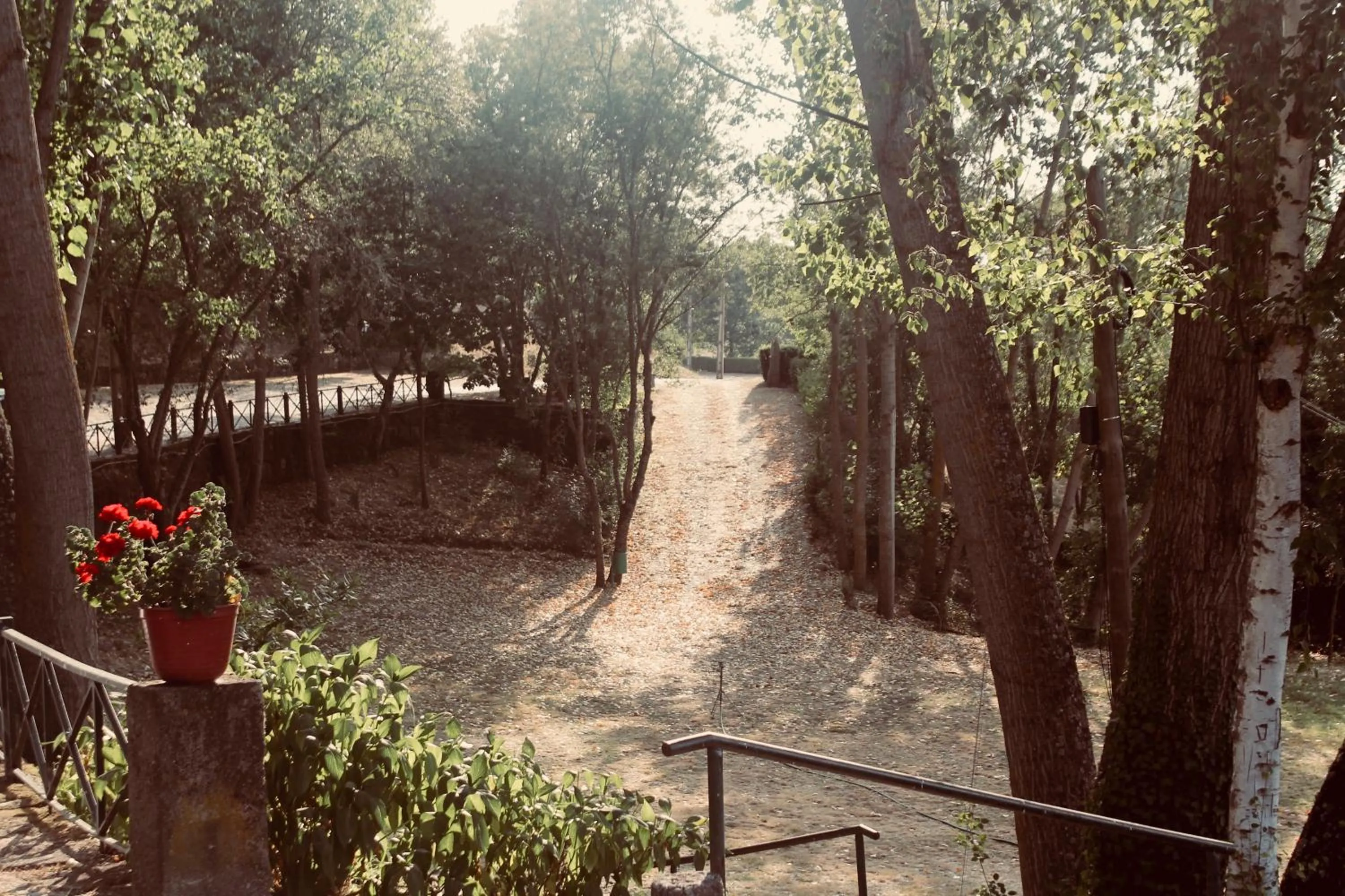 Garden in Quinta da Mata - Turismo de Habitação