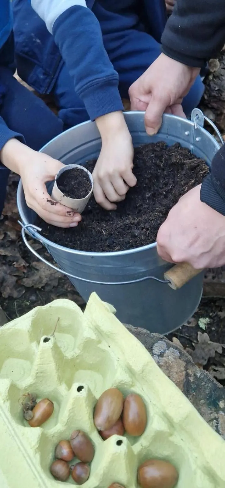 Off site in Quinta da Mata - Turismo de Habitação