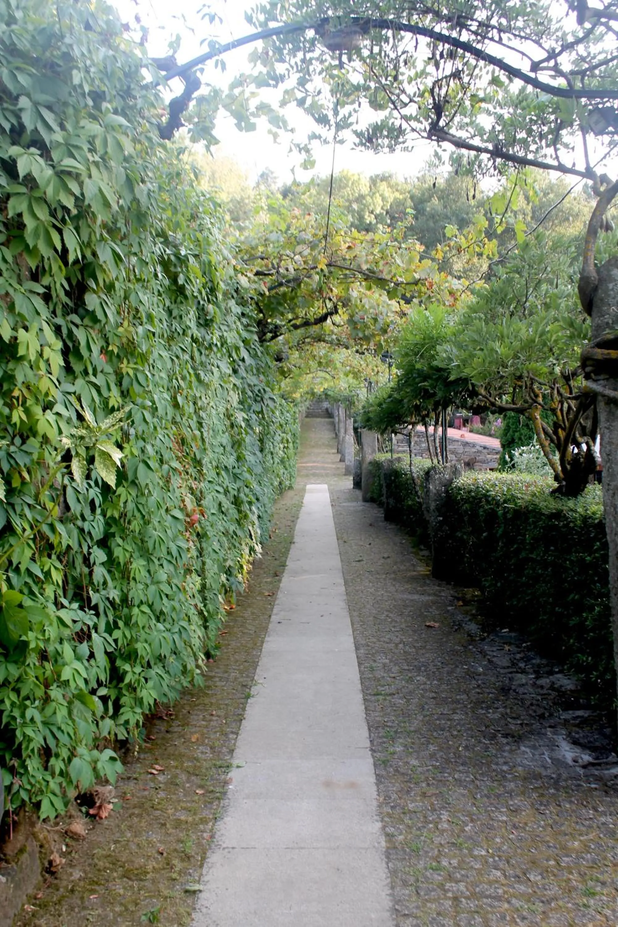 Garden in Quinta da Mata - Turismo de Habitação
