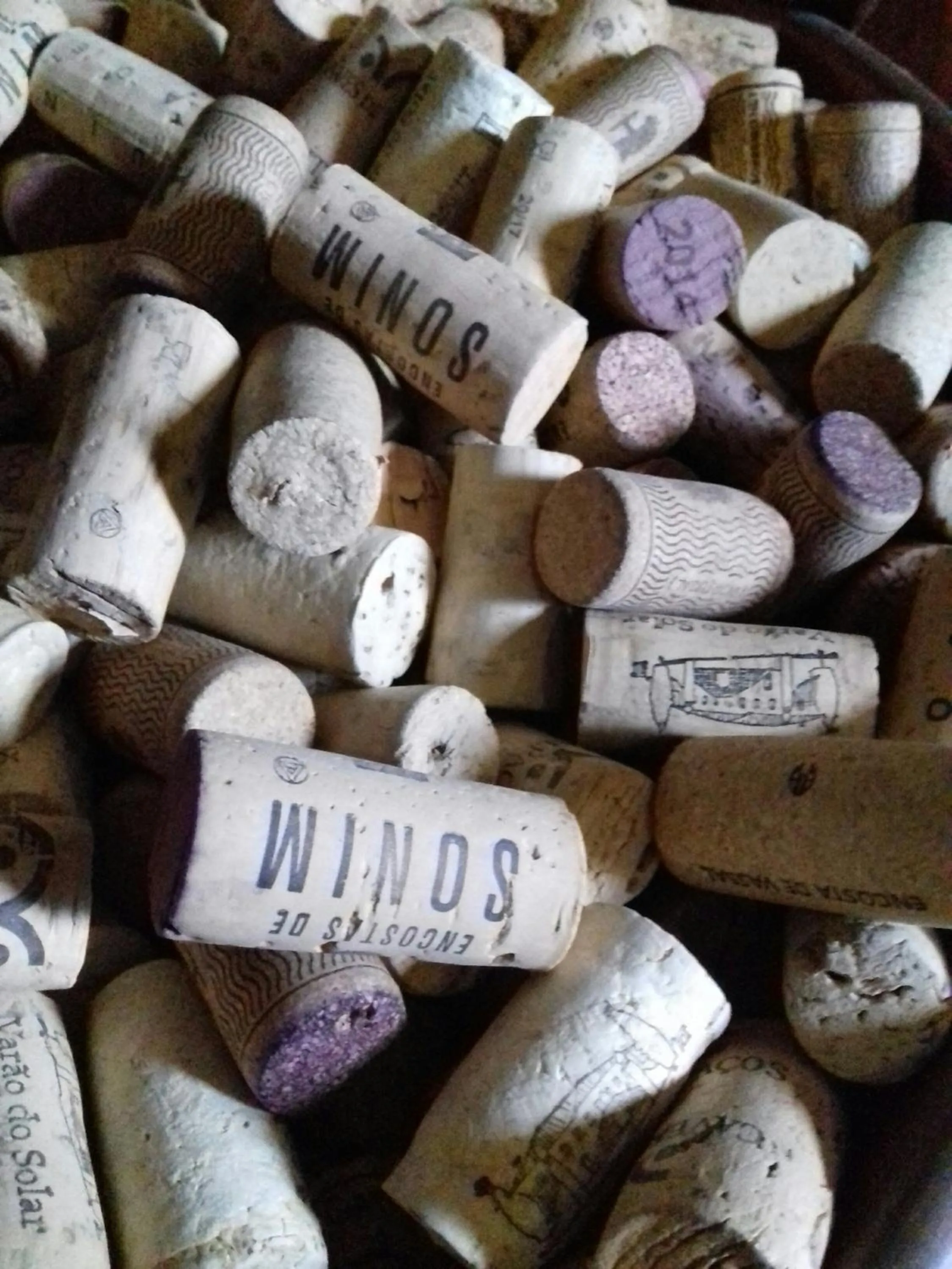 Alcoholic drinks in Quinta da Mata - Turismo de Habitação