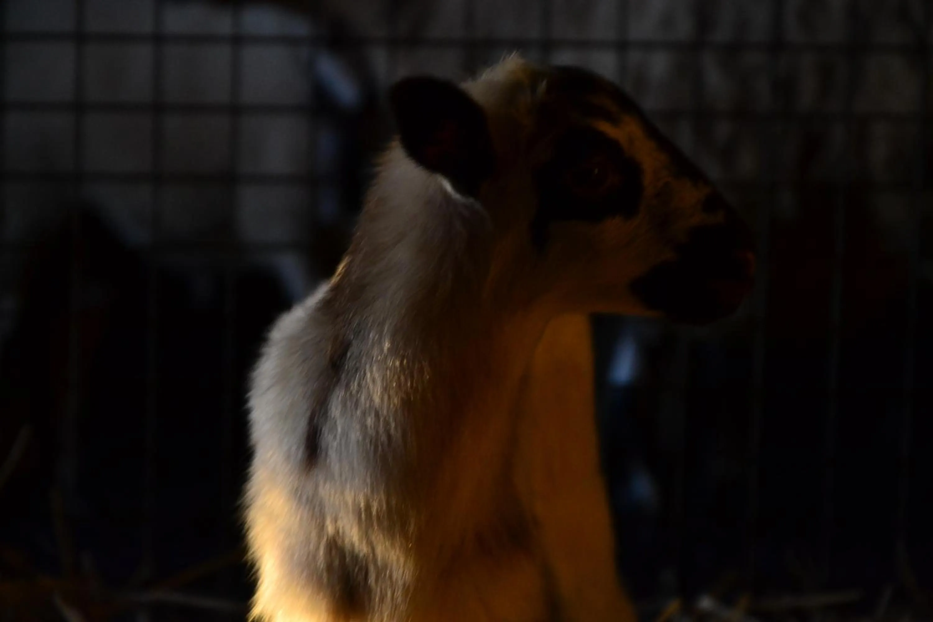 Lounge or bar in Quinta da Mata - Turismo de Habitação