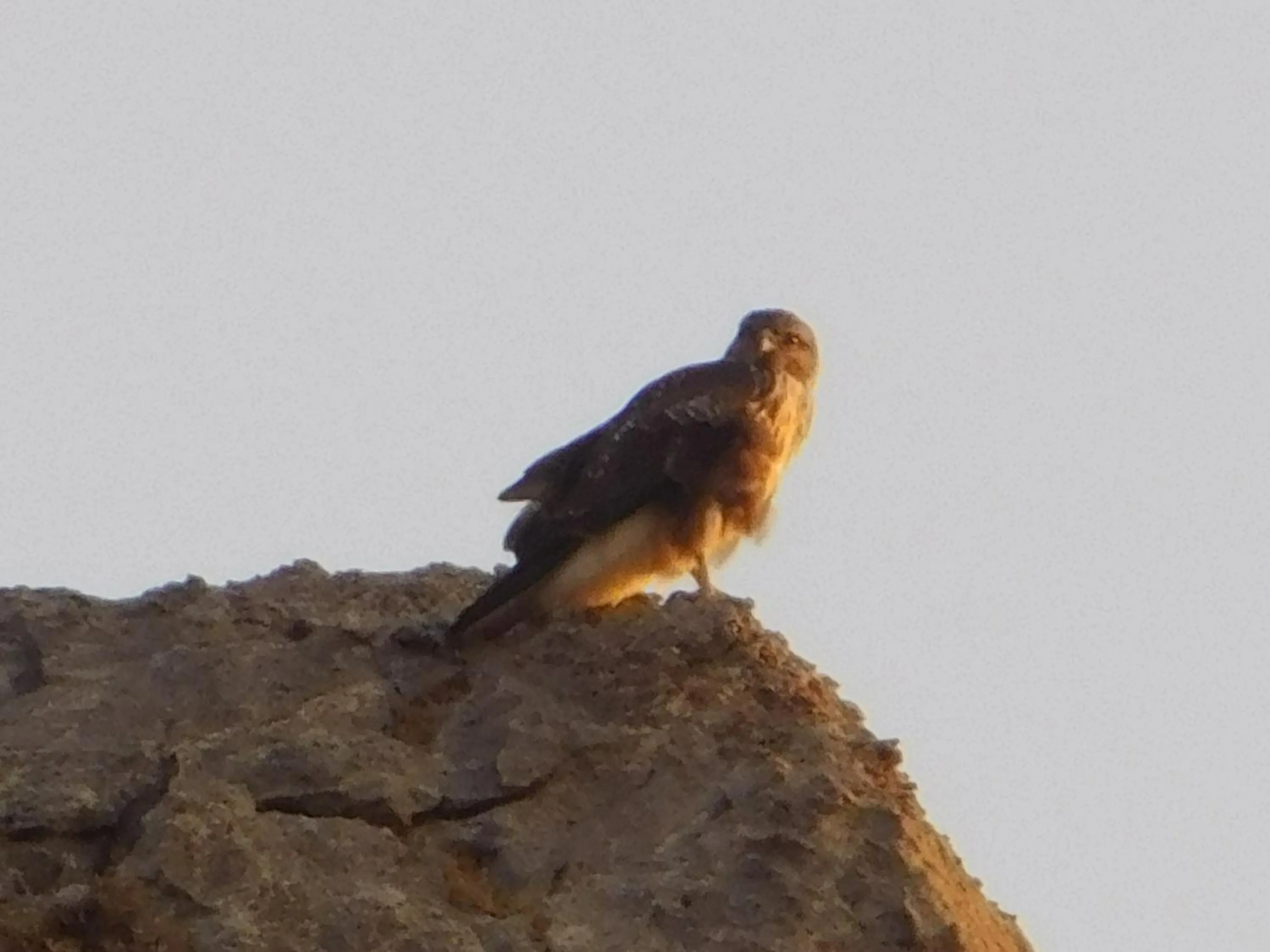 Natural landscape in Apollon