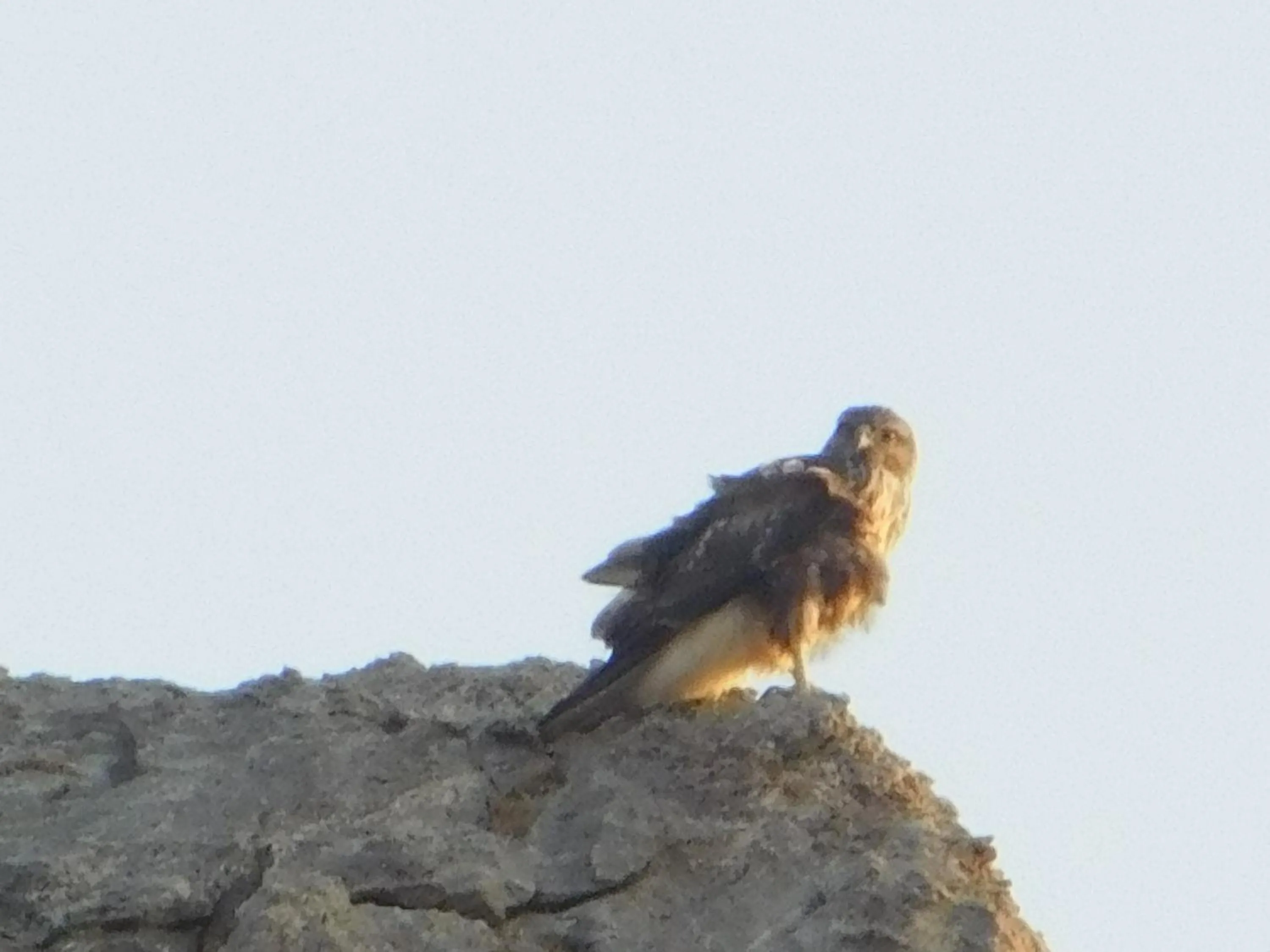Natural landscape in Apollon