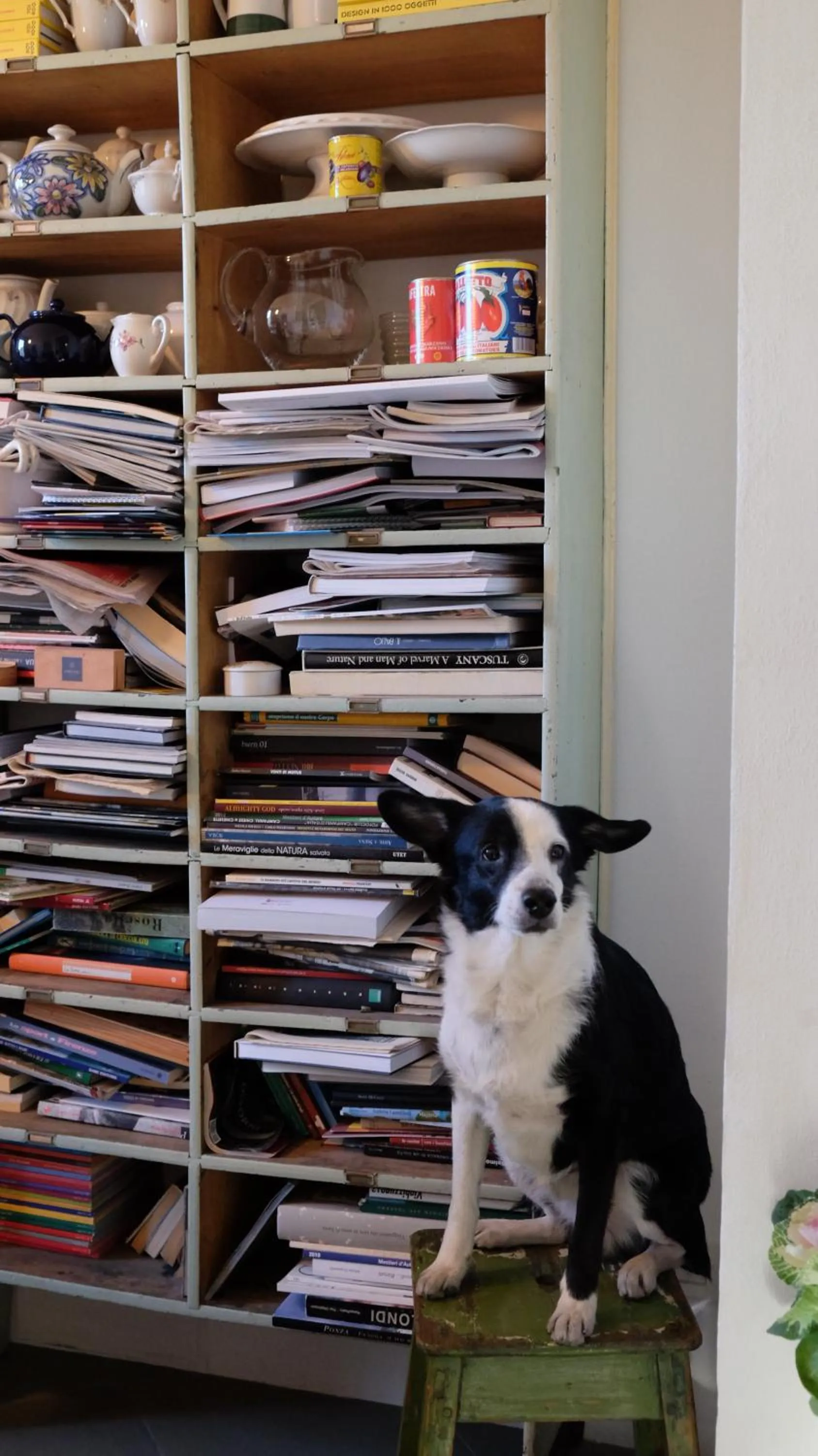 Library in B&B Paradiso n.4