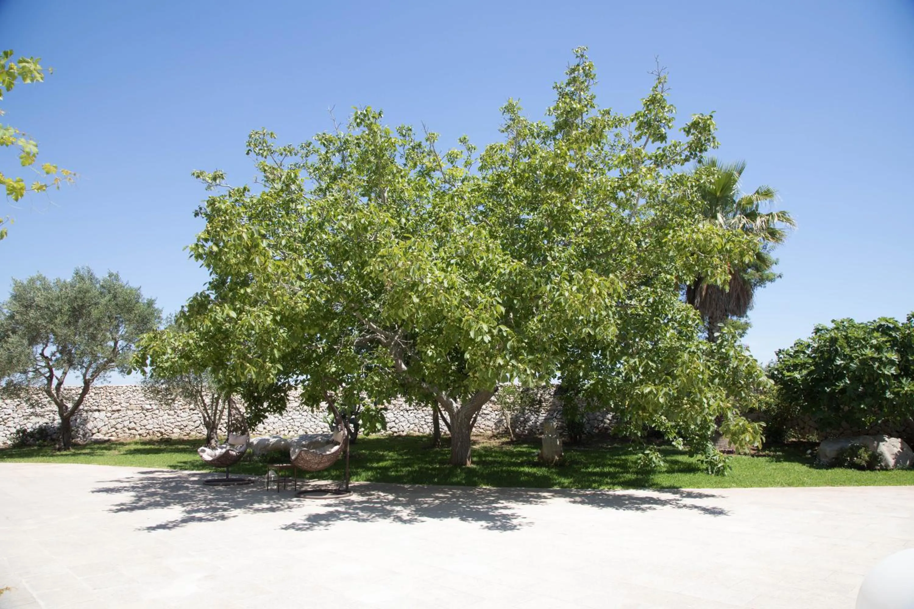 Natural landscape in Don Agostino Relais Masseria