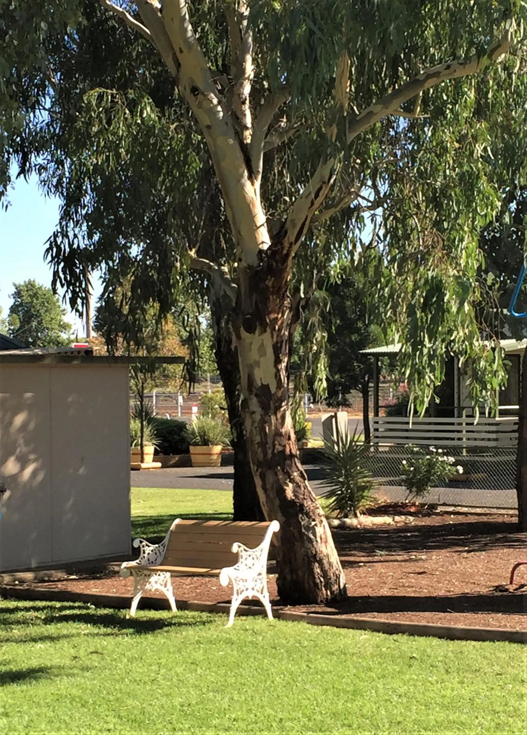 Garden in Junee Tourist Park