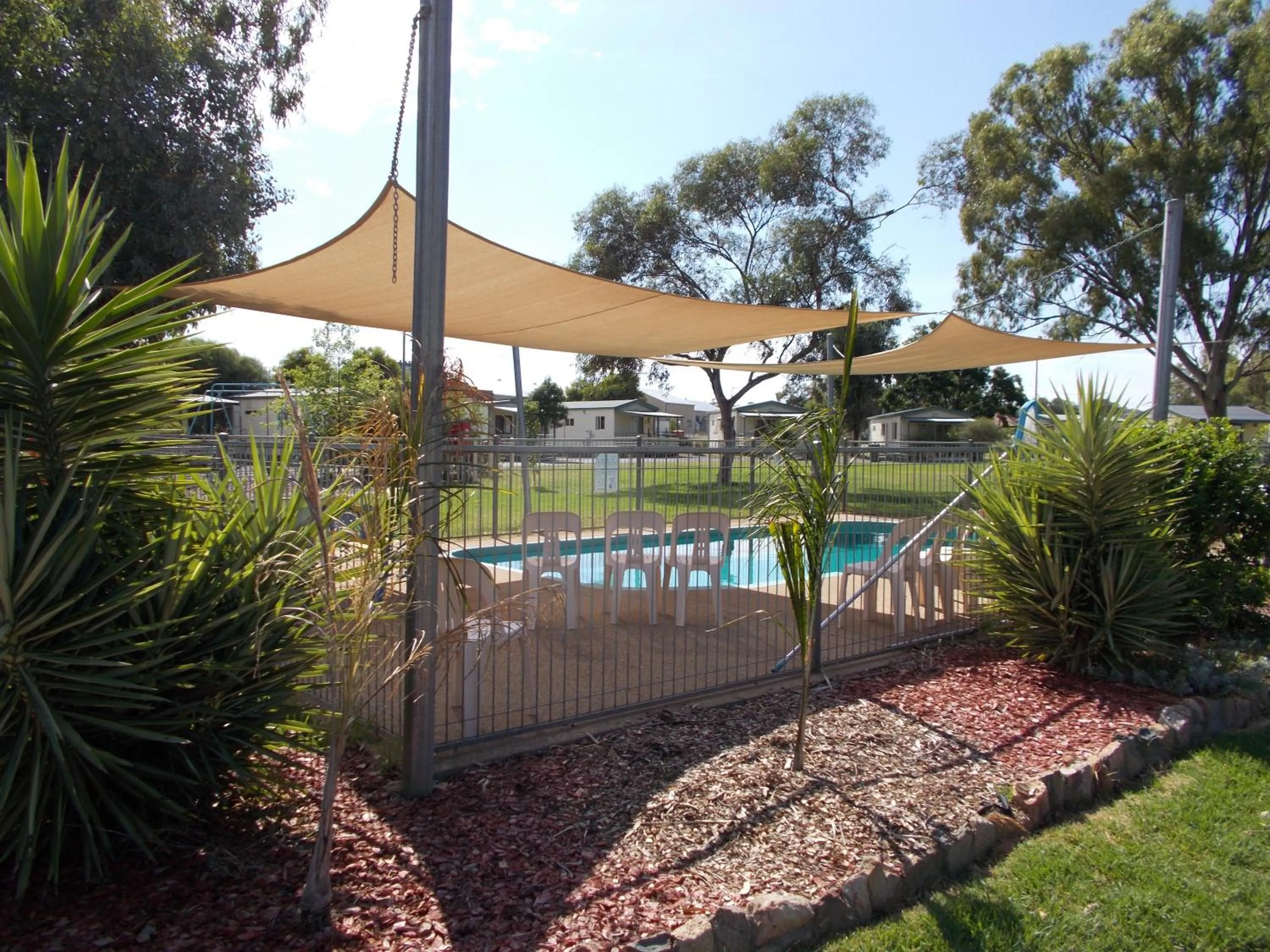 Swimming pool in Junee Tourist Park