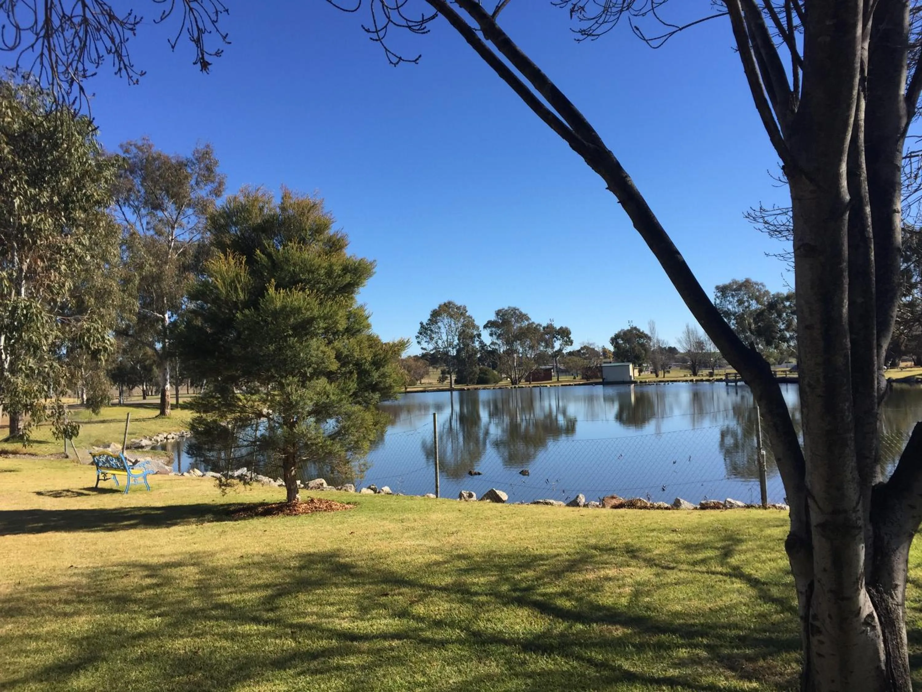 Garden in Junee Tourist Park
