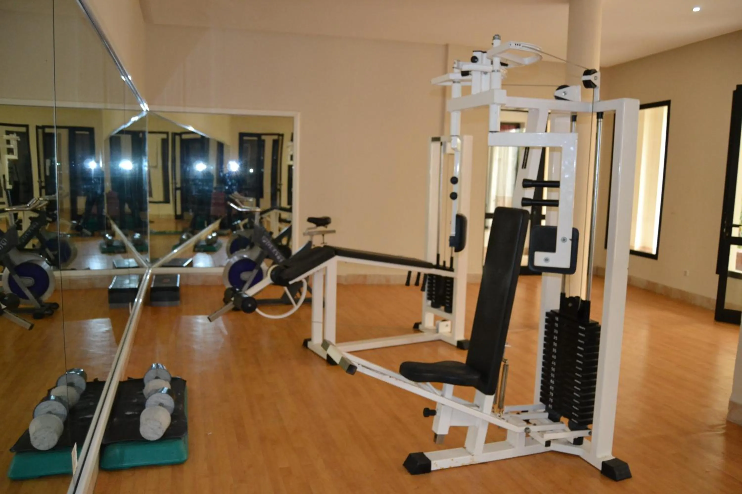 Fitness centre/facilities in Vincci Safira Palms
